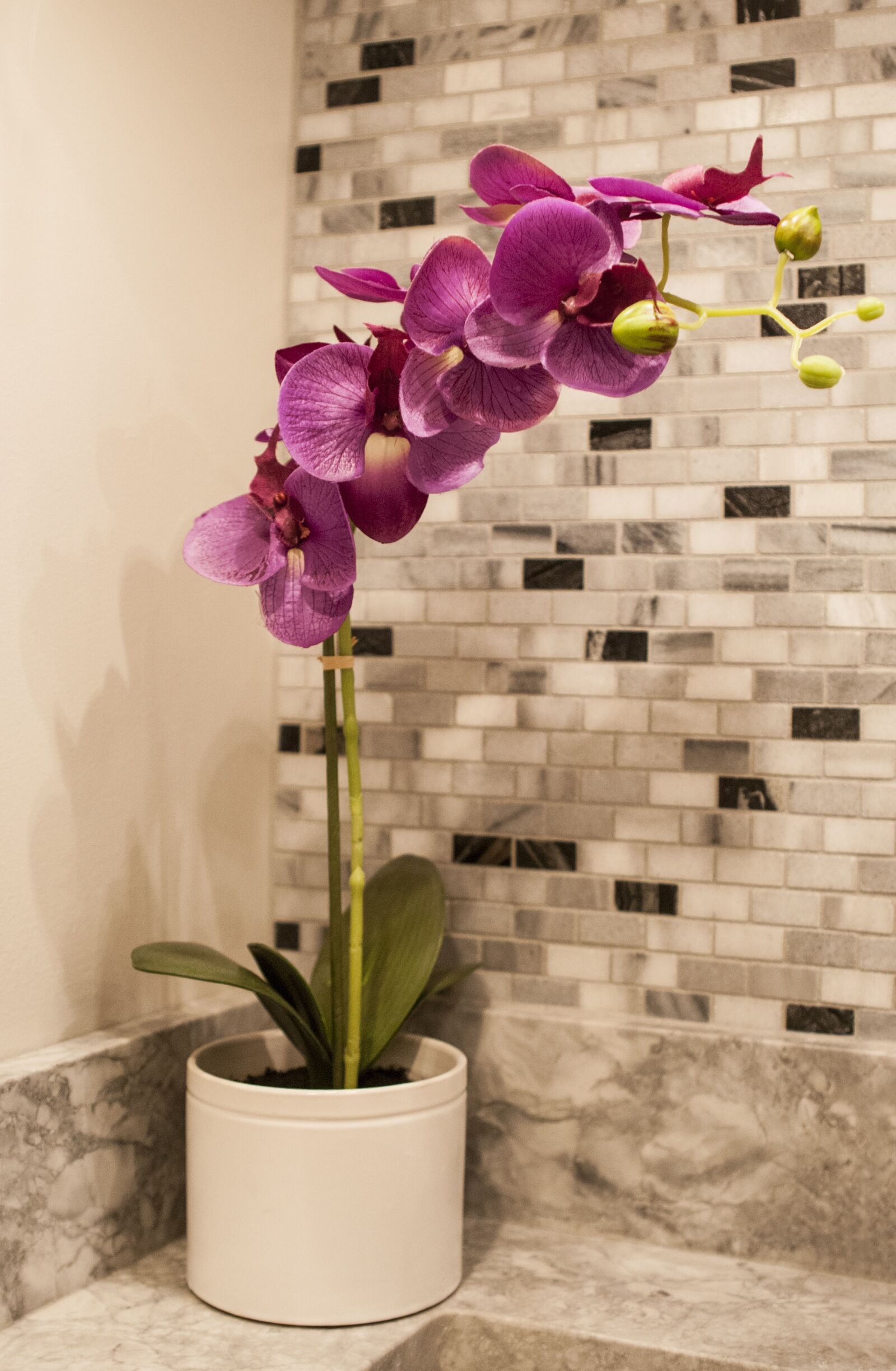 Nikon D80 sample photo. Tile, mosaics, orchid photography