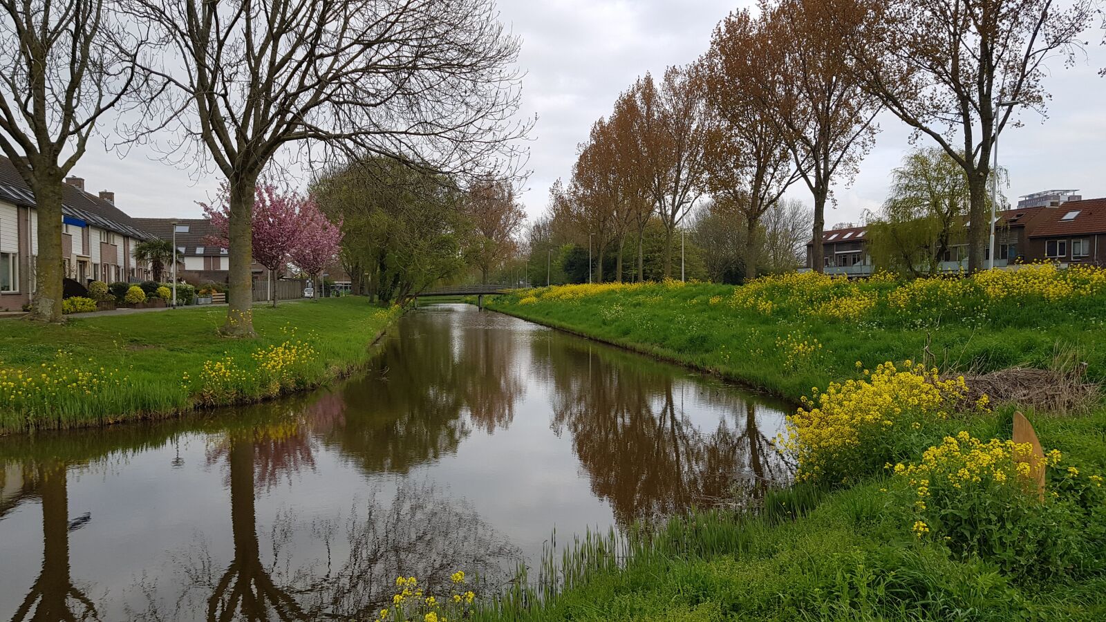 Samsung Galaxy S8 sample photo. Spring, nature, water photography