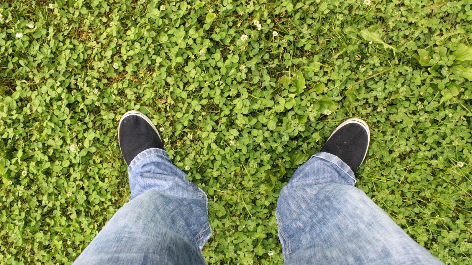 Canon EOS 600D (Rebel EOS T3i / EOS Kiss X5) sample photo. Standing on the grass photography