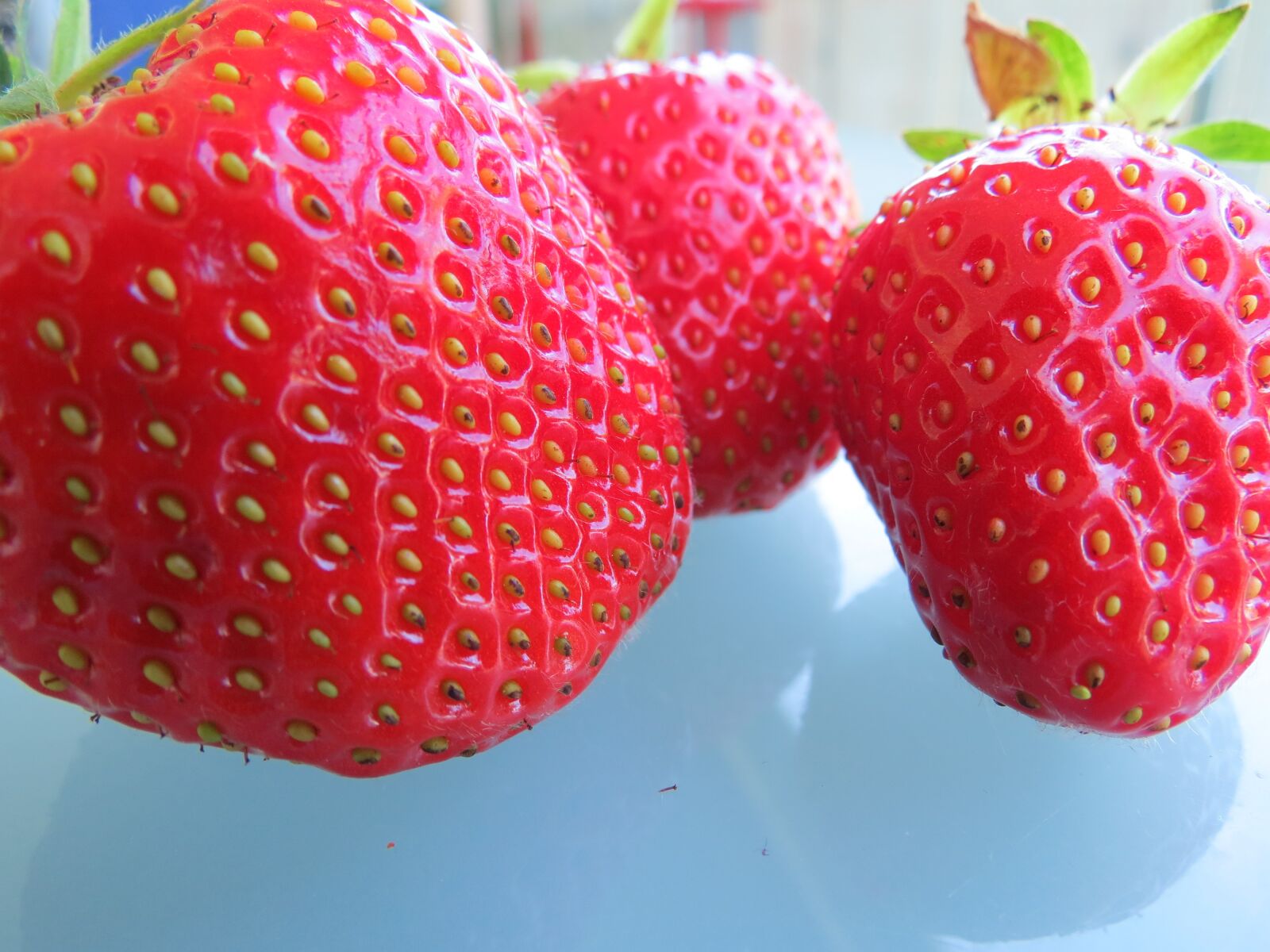 Canon PowerShot SX40 HS sample photo. Red, fruits, delicious photography