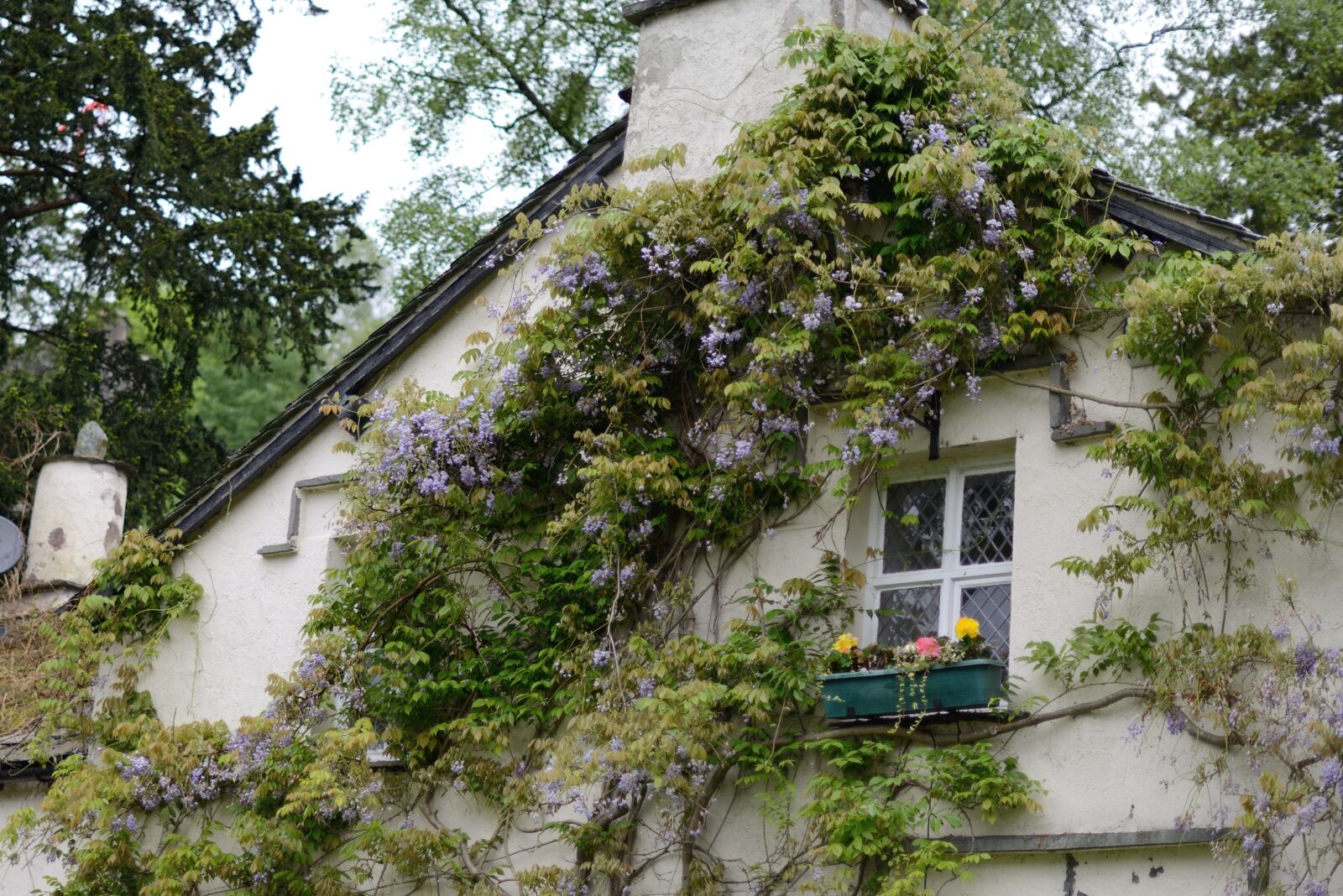 Nikon D800 sample photo. English, house, cottage photography