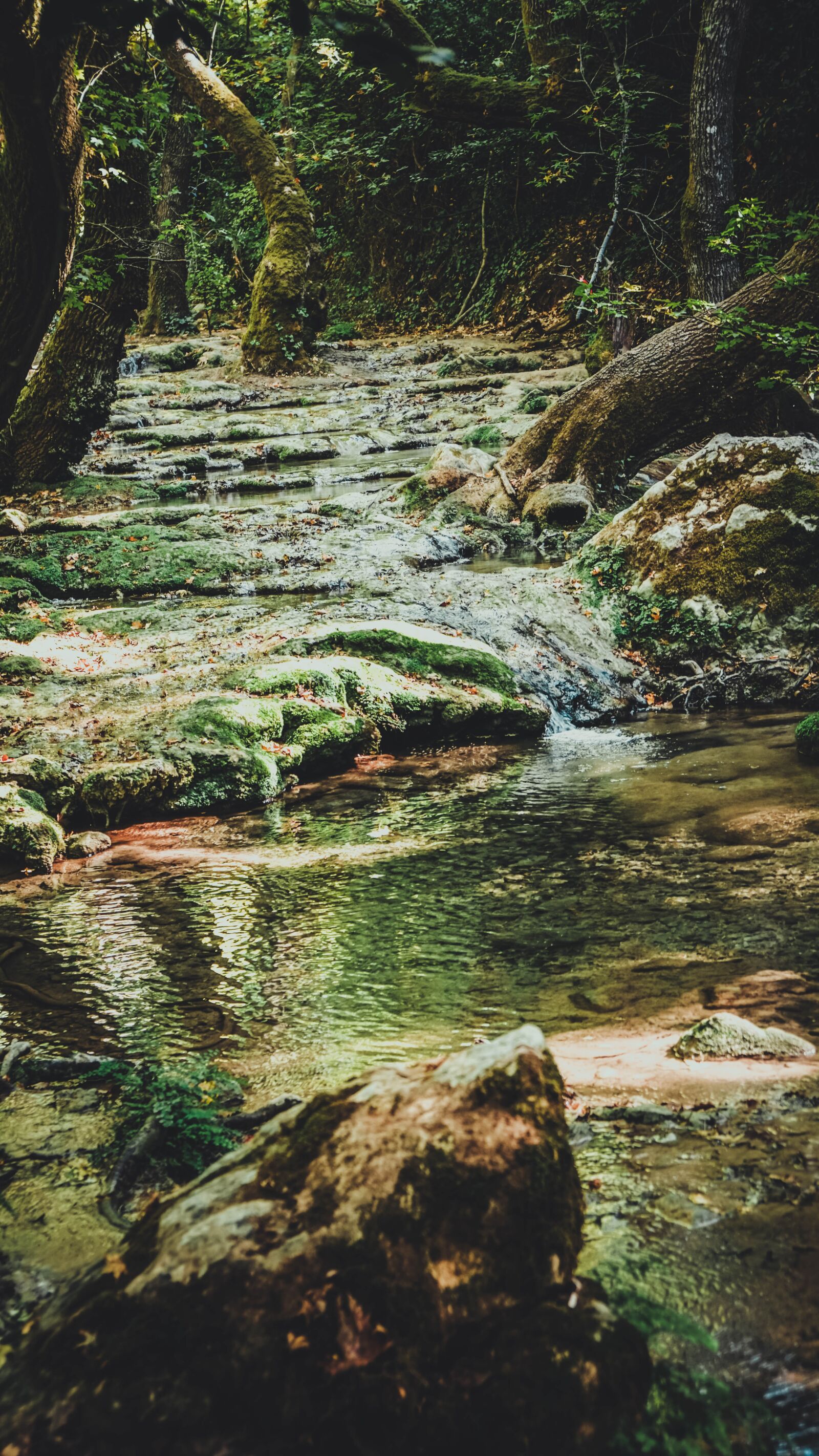 Sony a6000 + Sony Vario-Tessar T* E 16-70mm F4 ZA OSS sample photo. Turkey, nature, landscape photography
