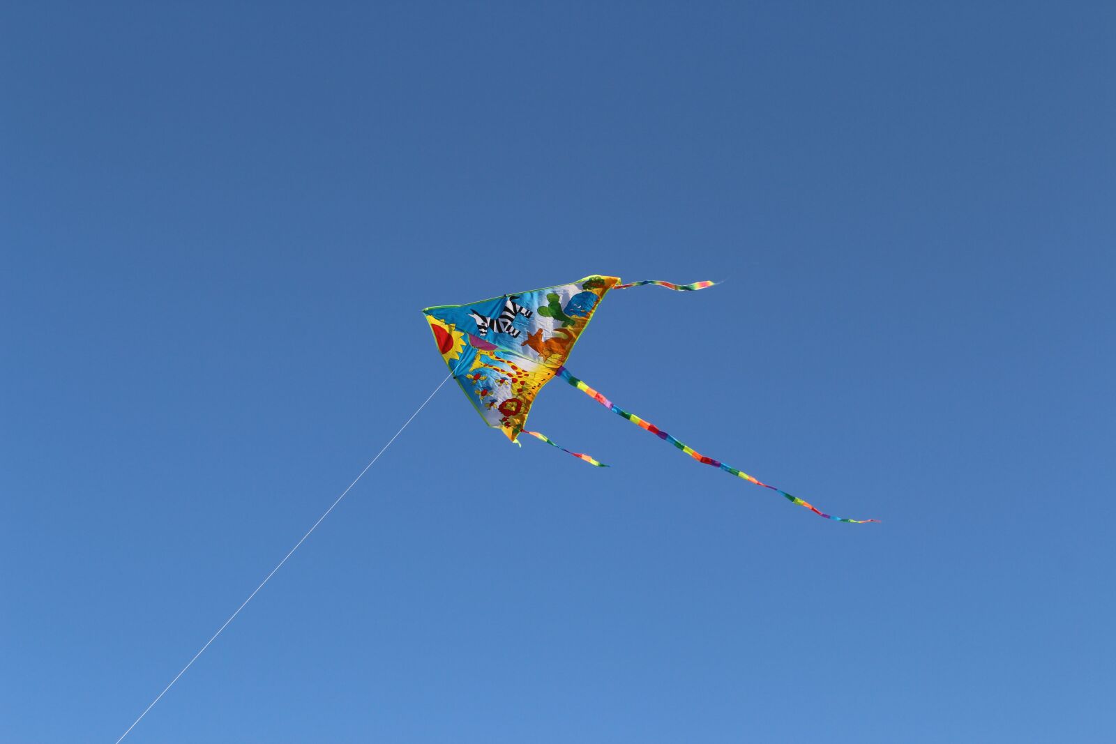 Canon EOS 700D (EOS Rebel T5i / EOS Kiss X7i) sample photo. Sky, kite flying, dragon photography