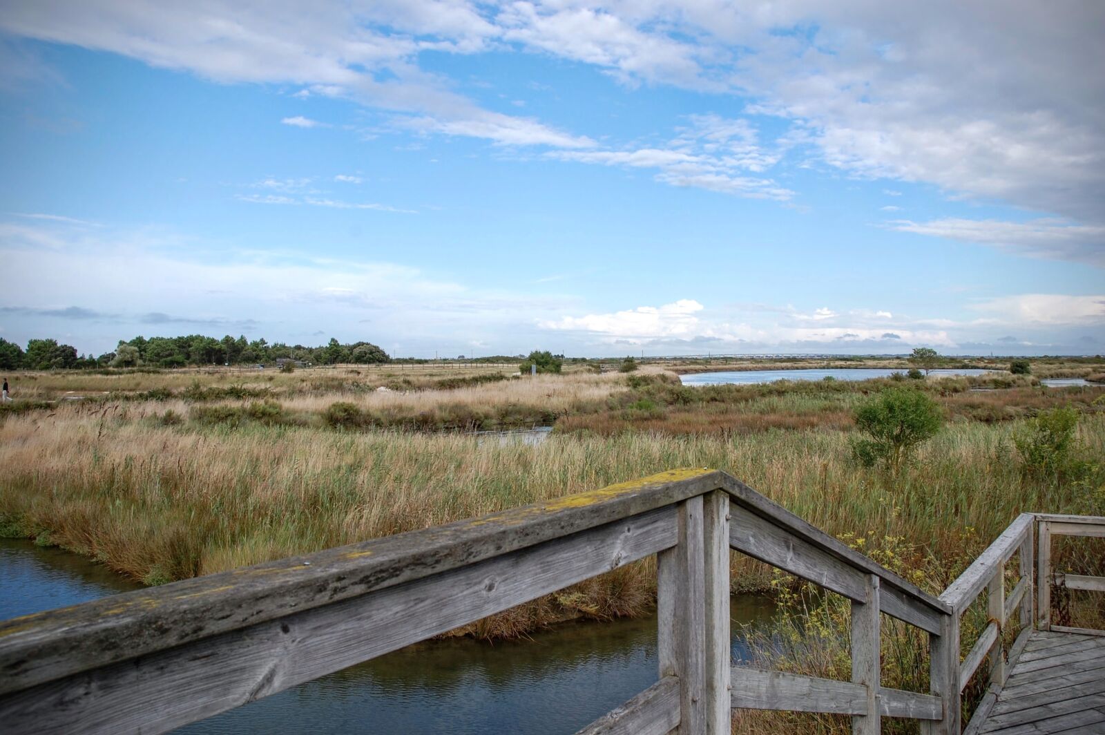 Nikon D40 sample photo. Marsh, saline, water photography