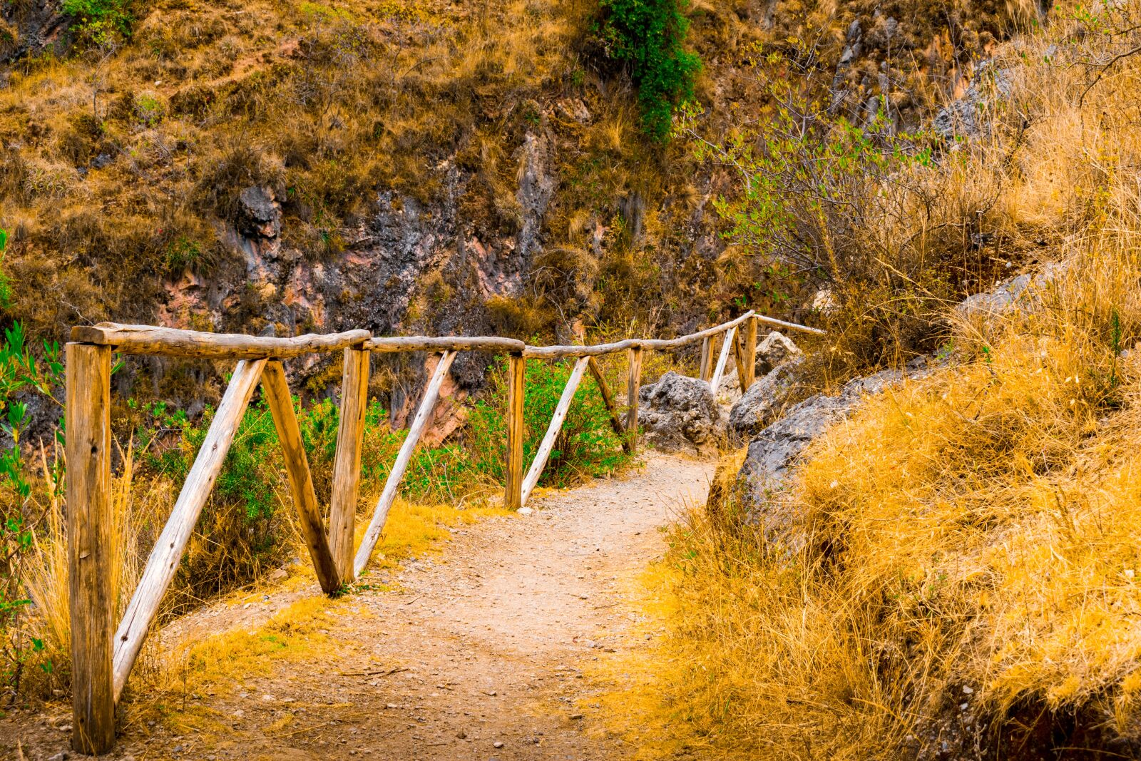 Nikon D3500 sample photo. Mountain side, dirt path photography