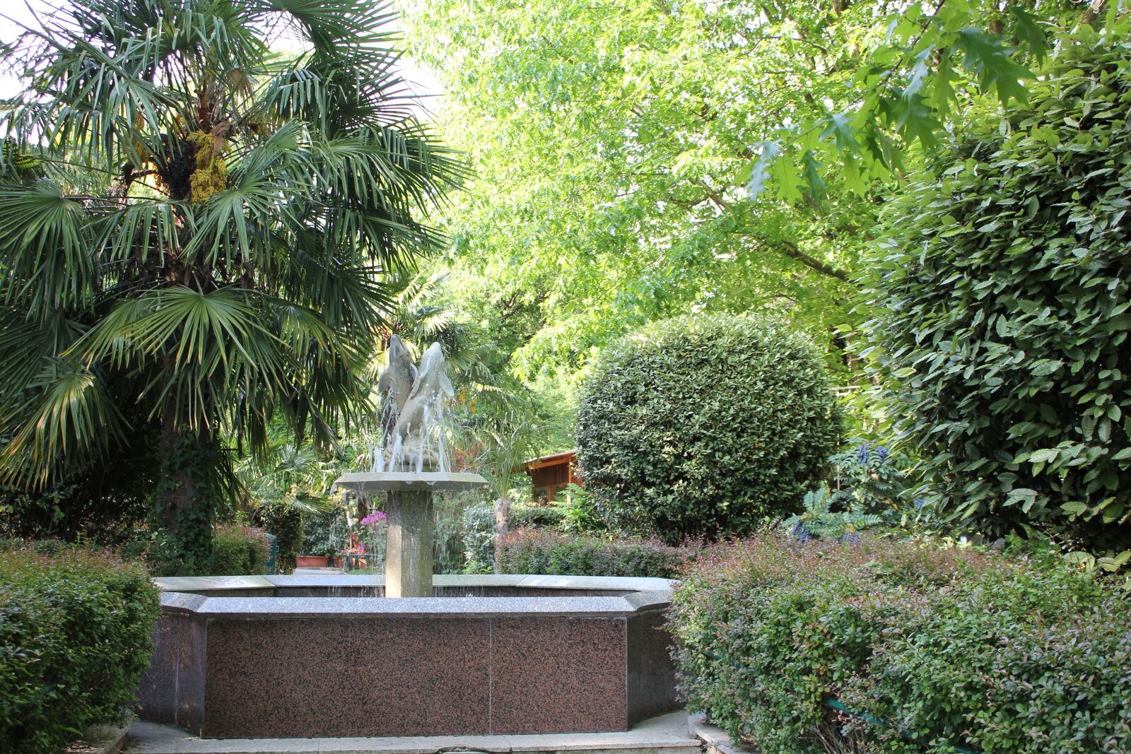 Canon EOS 550D (EOS Rebel T2i / EOS Kiss X4) sample photo. Fontana, garden, flowers photography