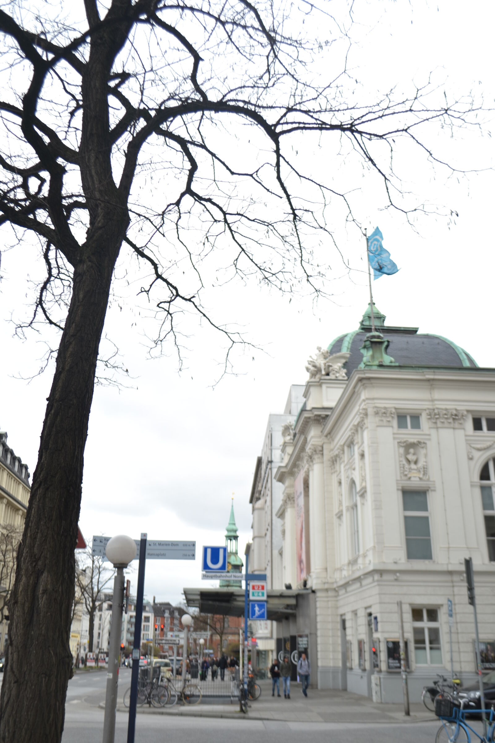 Nikon D3100 sample photo
