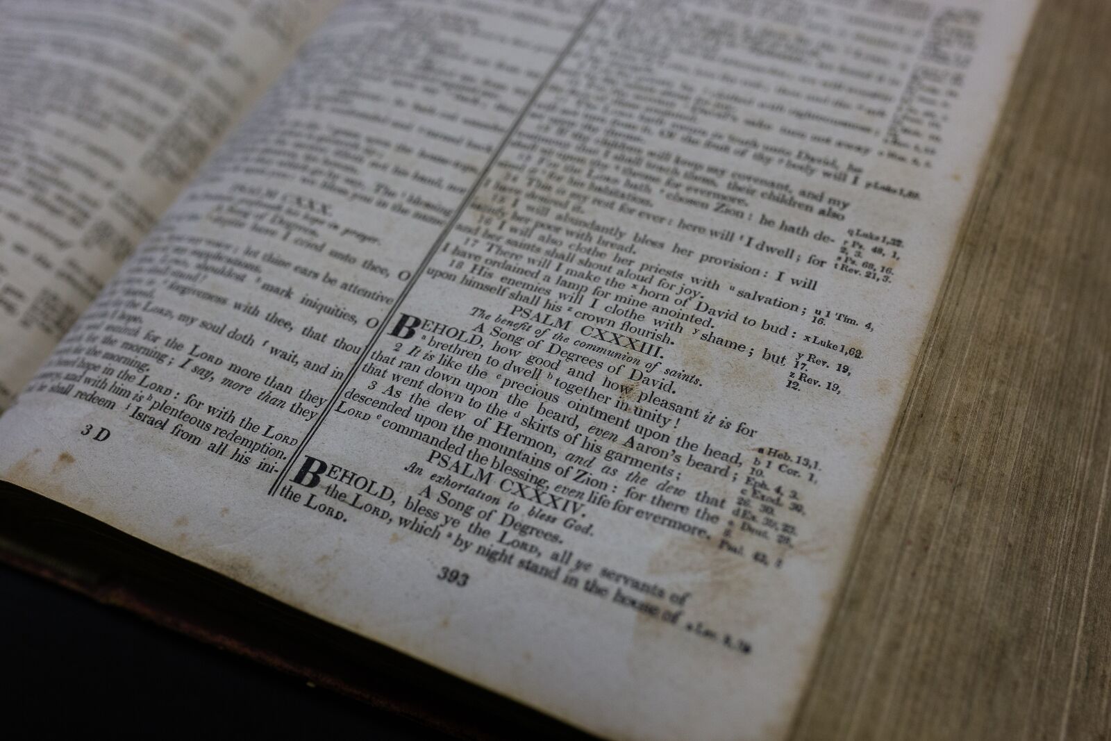 Sigma 35mm F1.4 DG HSM Art sample photo. Scripture, quote, passage photography