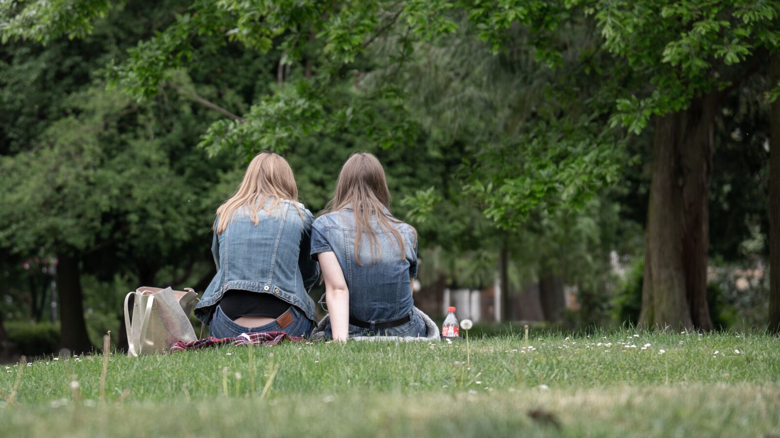 Nikon Z6 sample photo. Girl, friends, human photography