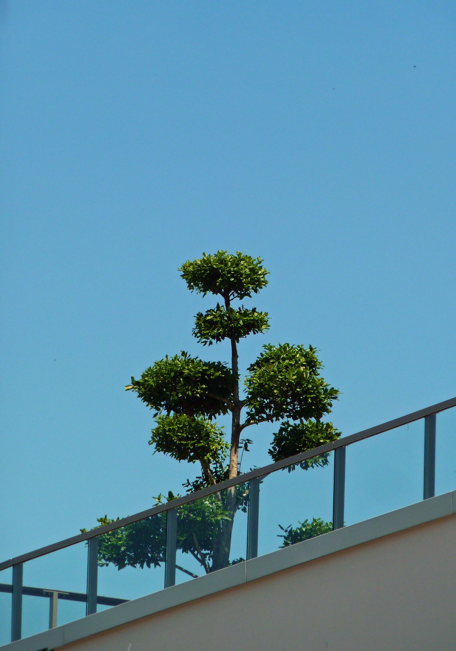 Panasonic DMC-TZ7 sample photo. Terrace, roof terrace, housetop photography