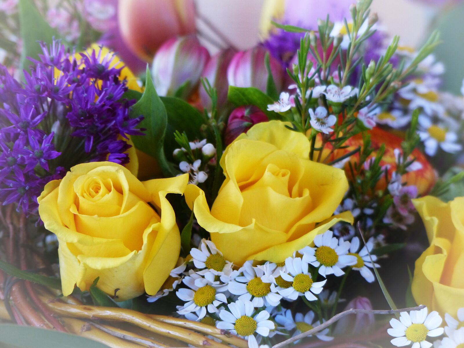 Panasonic Lumix DMC-FZ200 sample photo. Flowers, colorful, spring photography