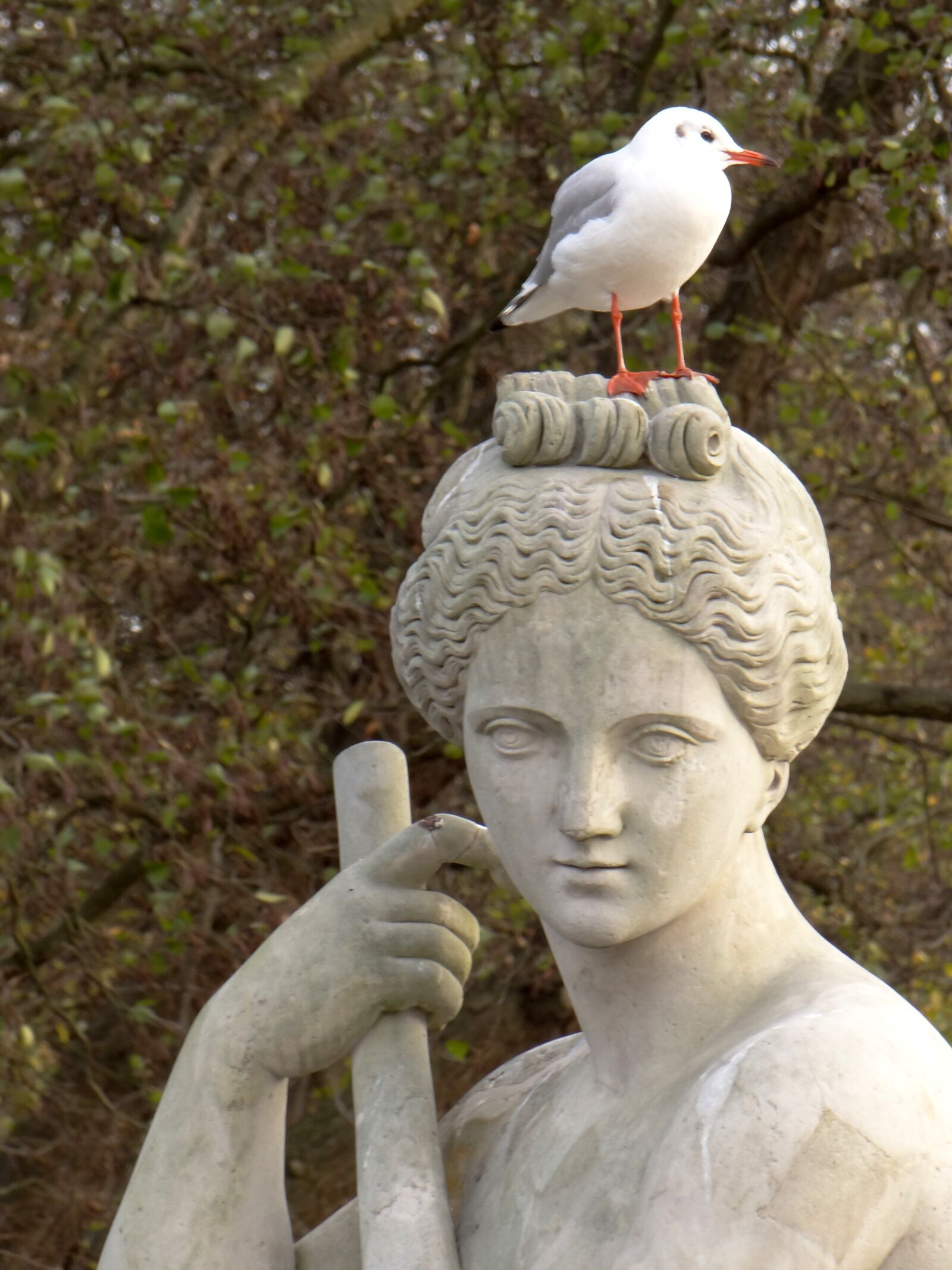 Sony DSC-HX200V sample photo. Vistula - the allegory photography