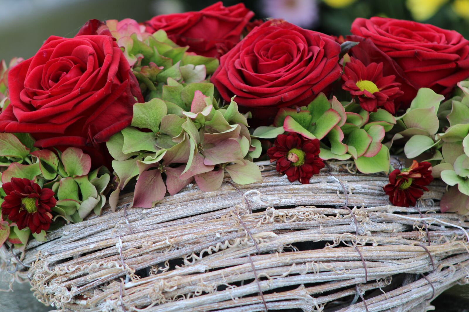 Canon EOS 2000D (EOS Rebel T7 / EOS Kiss X90 / EOS 1500D) sample photo. Red roses, roses, bouquet photography