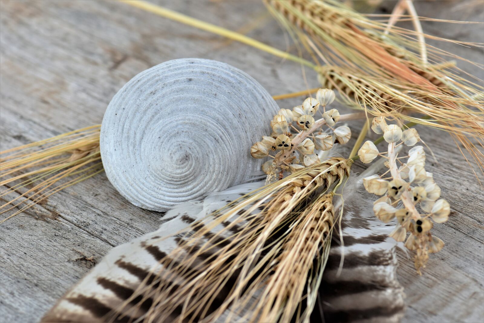 Nikon D5500 sample photo. Deco, decoration, table decorations photography
