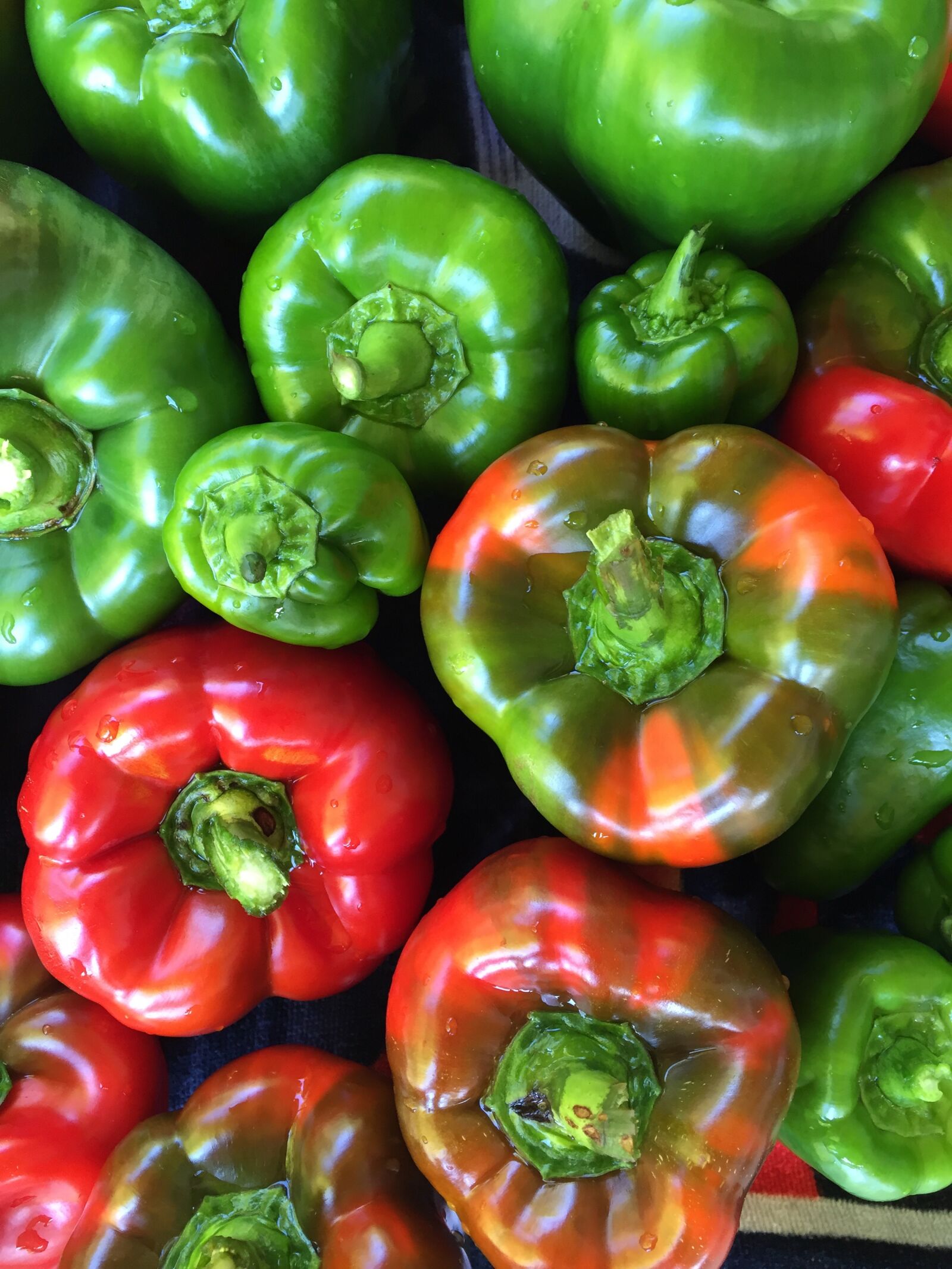 Apple iPhone 6 sample photo. Garden, peppers, vegetable photography
