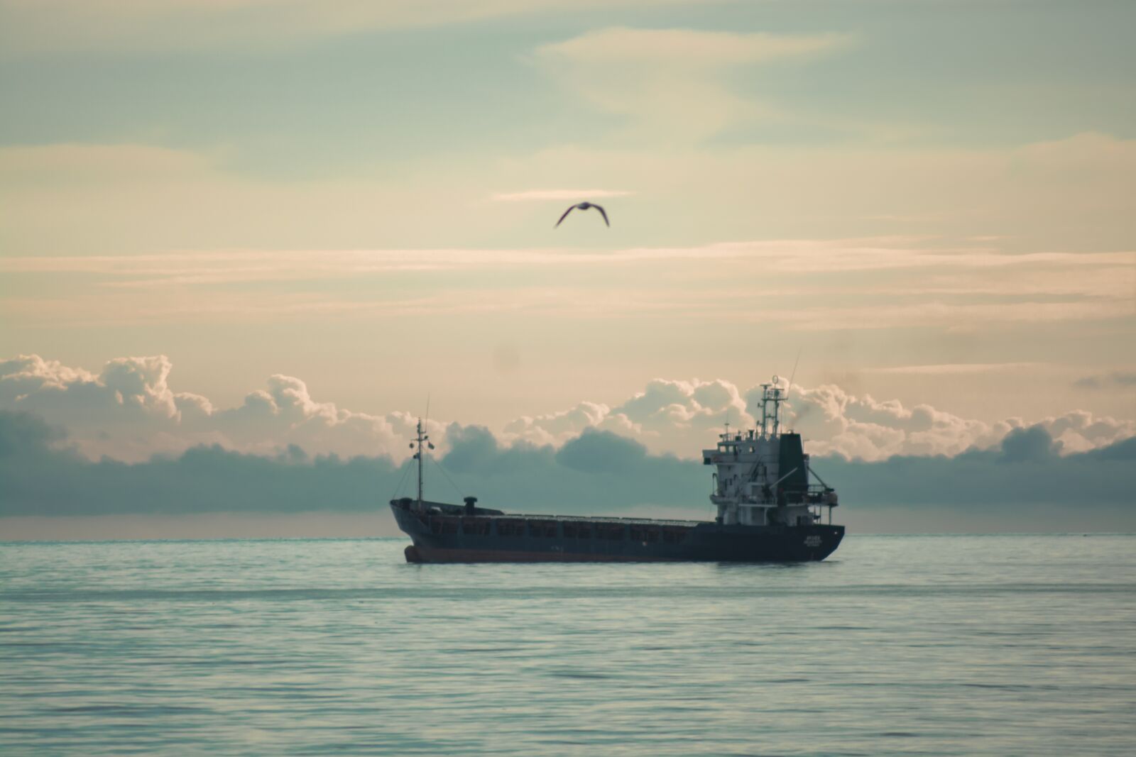 Nikon D5200 sample photo. Sea, ship, seagull photography