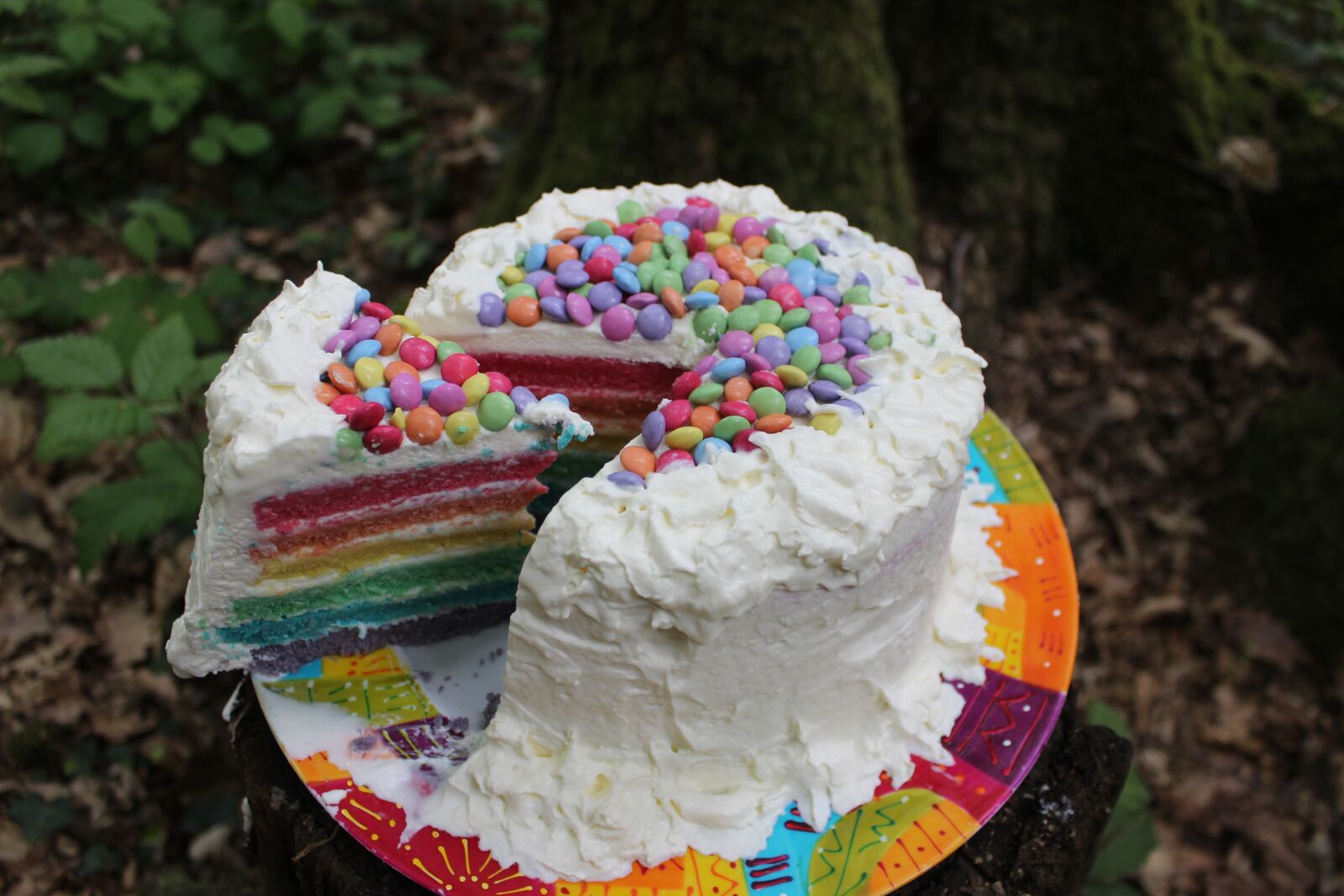 Canon EOS 600D (Rebel EOS T3i / EOS Kiss X5) sample photo. Cakes, cake, rainbow photography