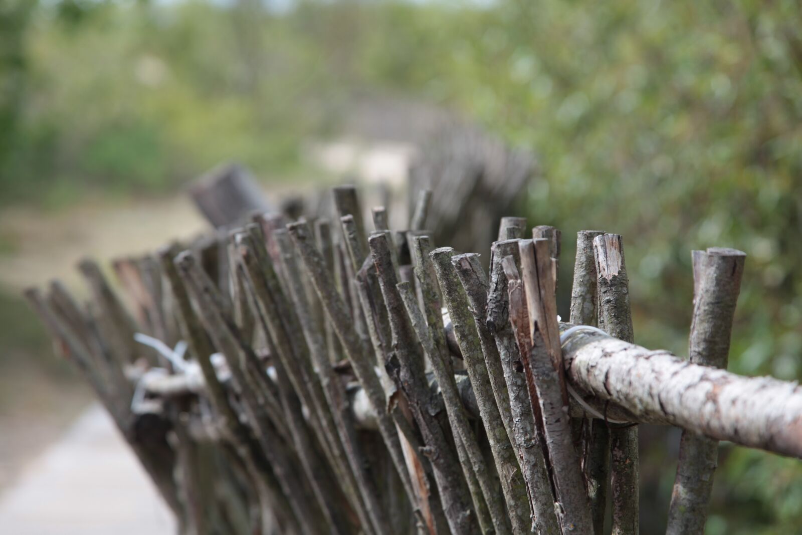 Canon EOS 5D Mark II sample photo. Fence, landscape, the bushes photography