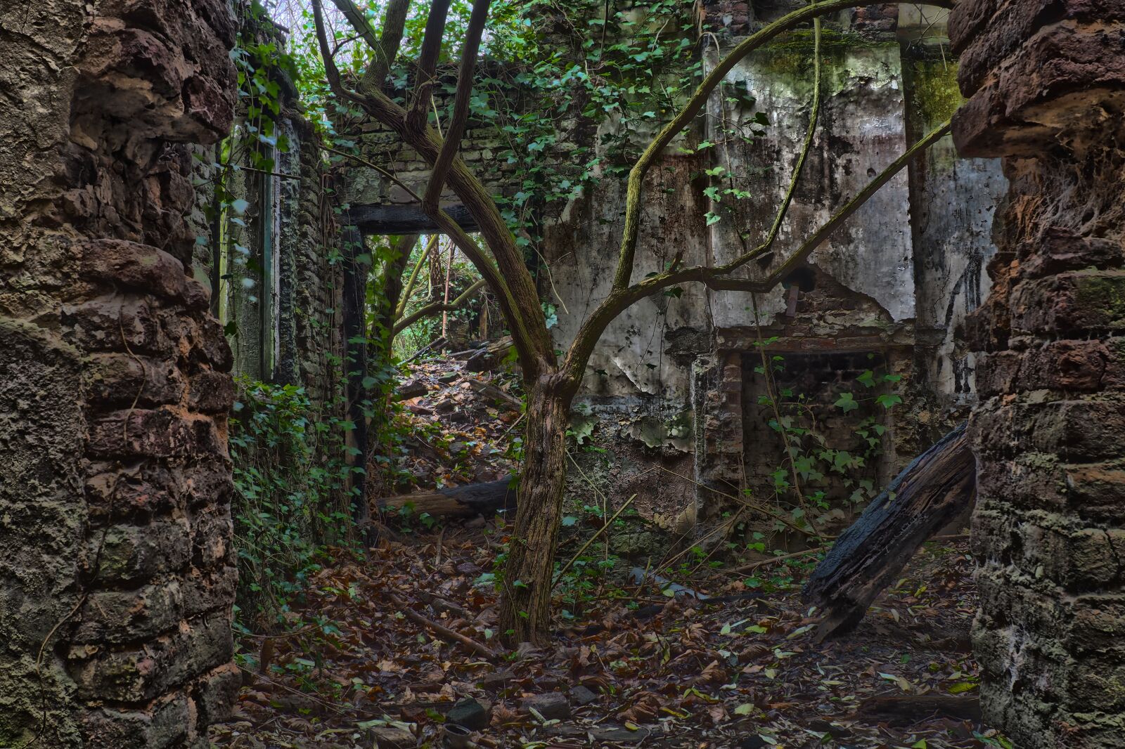 Olympus OM-D E-M10 sample photo. Lost places, house, abandoned photography