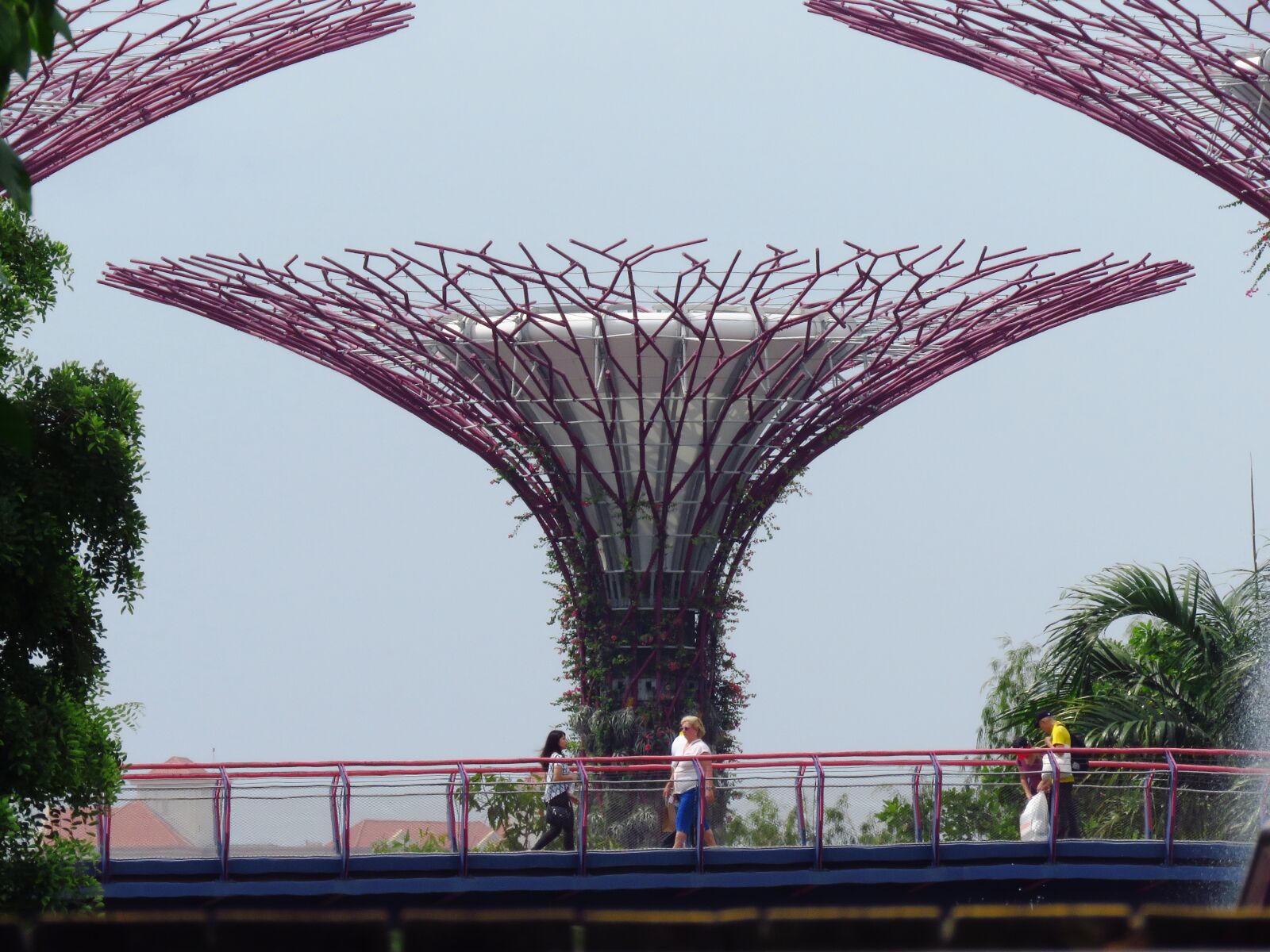 Canon PowerShot SX60 HS sample photo. Singapore, garden by the photography