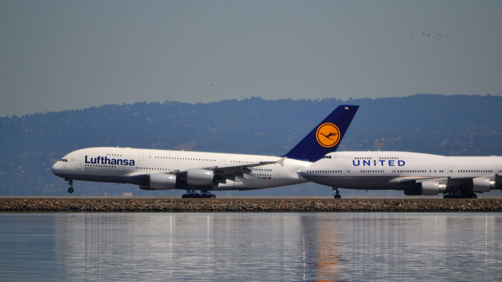 Nikon D3100 sample photo. Airport, sfo, san francisco photography