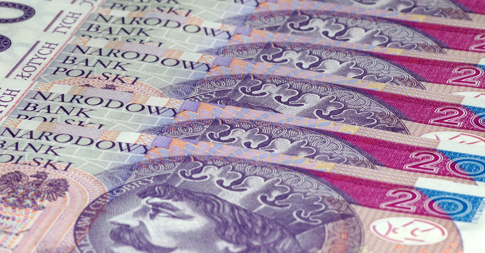 Pentax K-S2 sample photo. Money, euro banknotes, polish photography