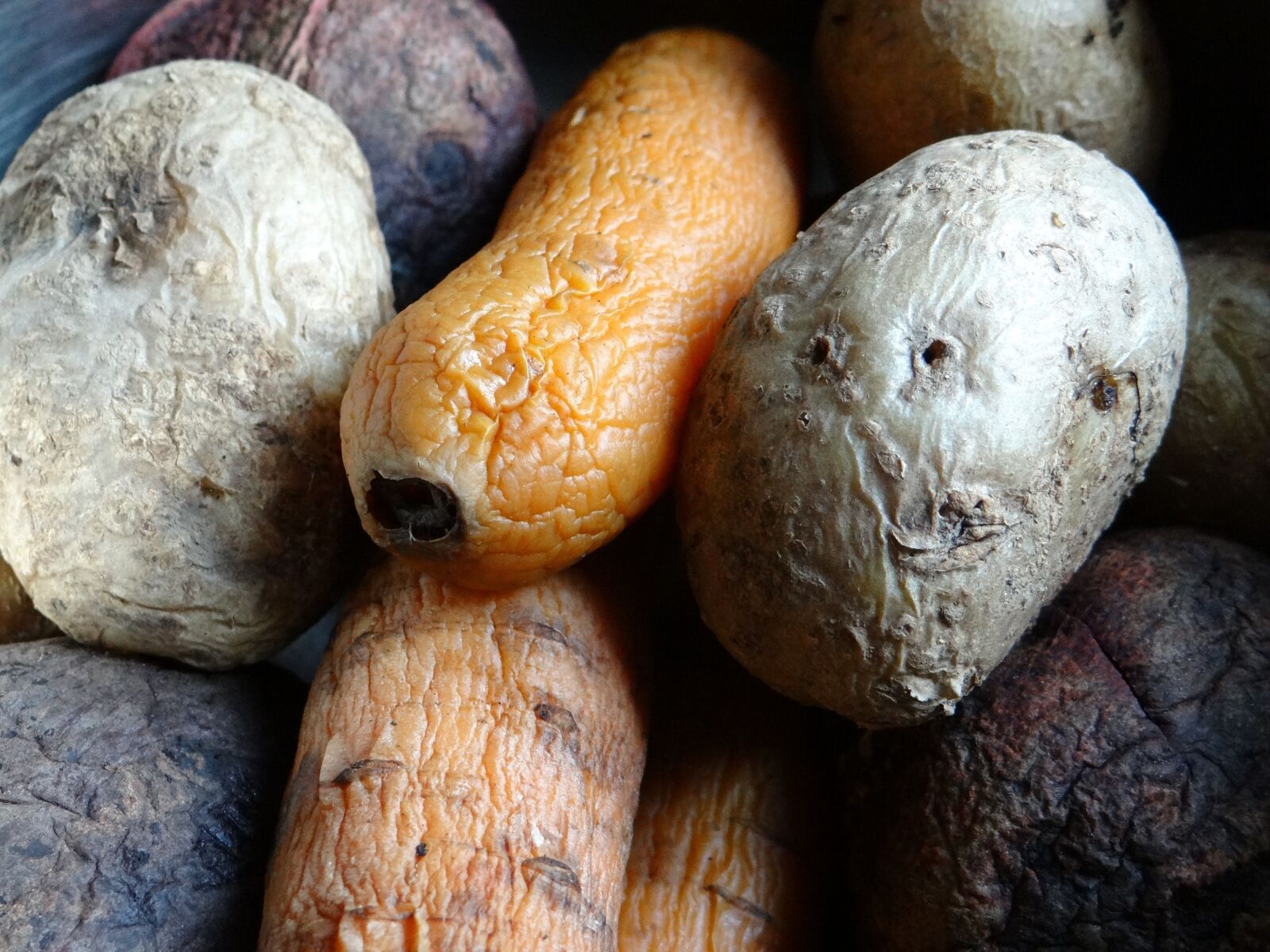 Sony DSC-HX200V sample photo. Potatoes, carrot, beet photography