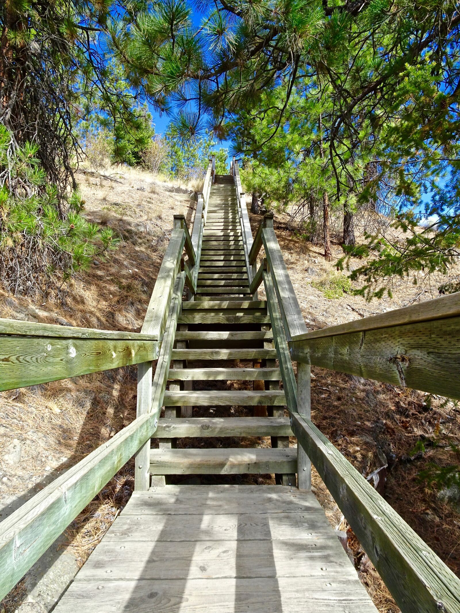 Sony Cyber-shot DSC-HX90V sample photo. Stairway, perspective, staircase photography