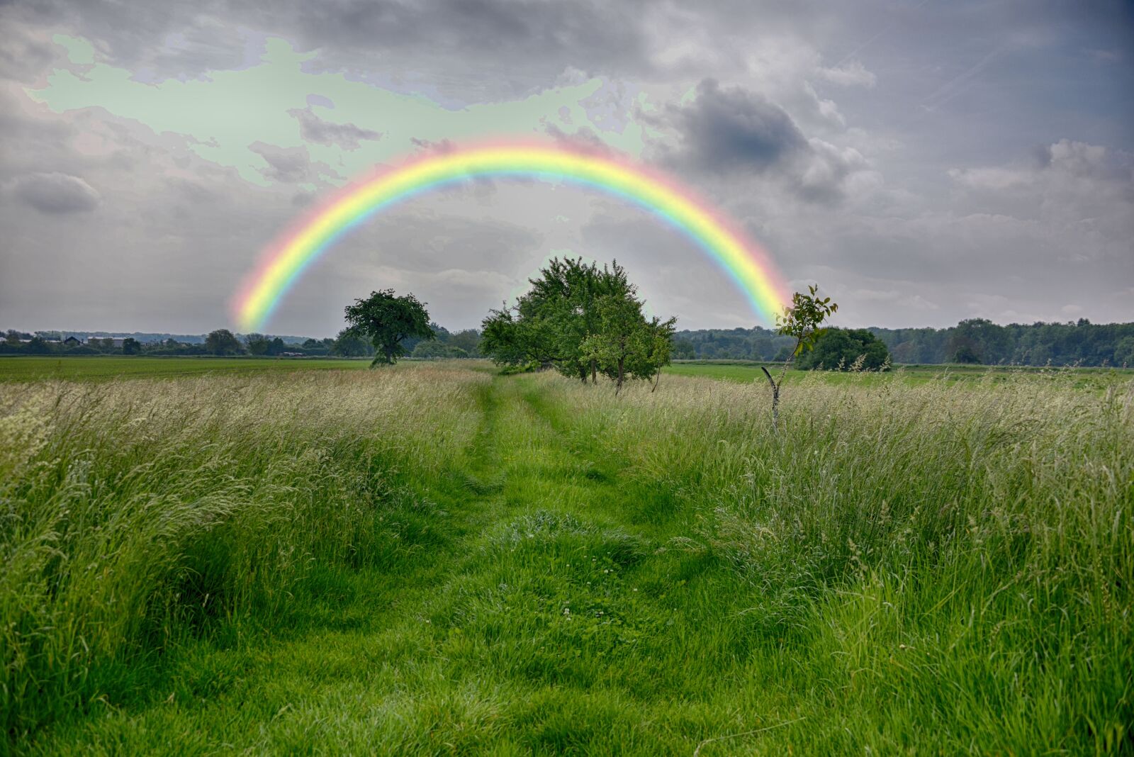Nikon D750 sample photo. Rainbow, grass, nature photography