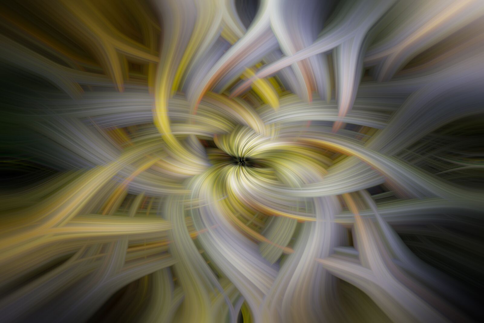 Canon EF 100mm F2.8L Macro IS USM sample photo. Abstract, color, art photography