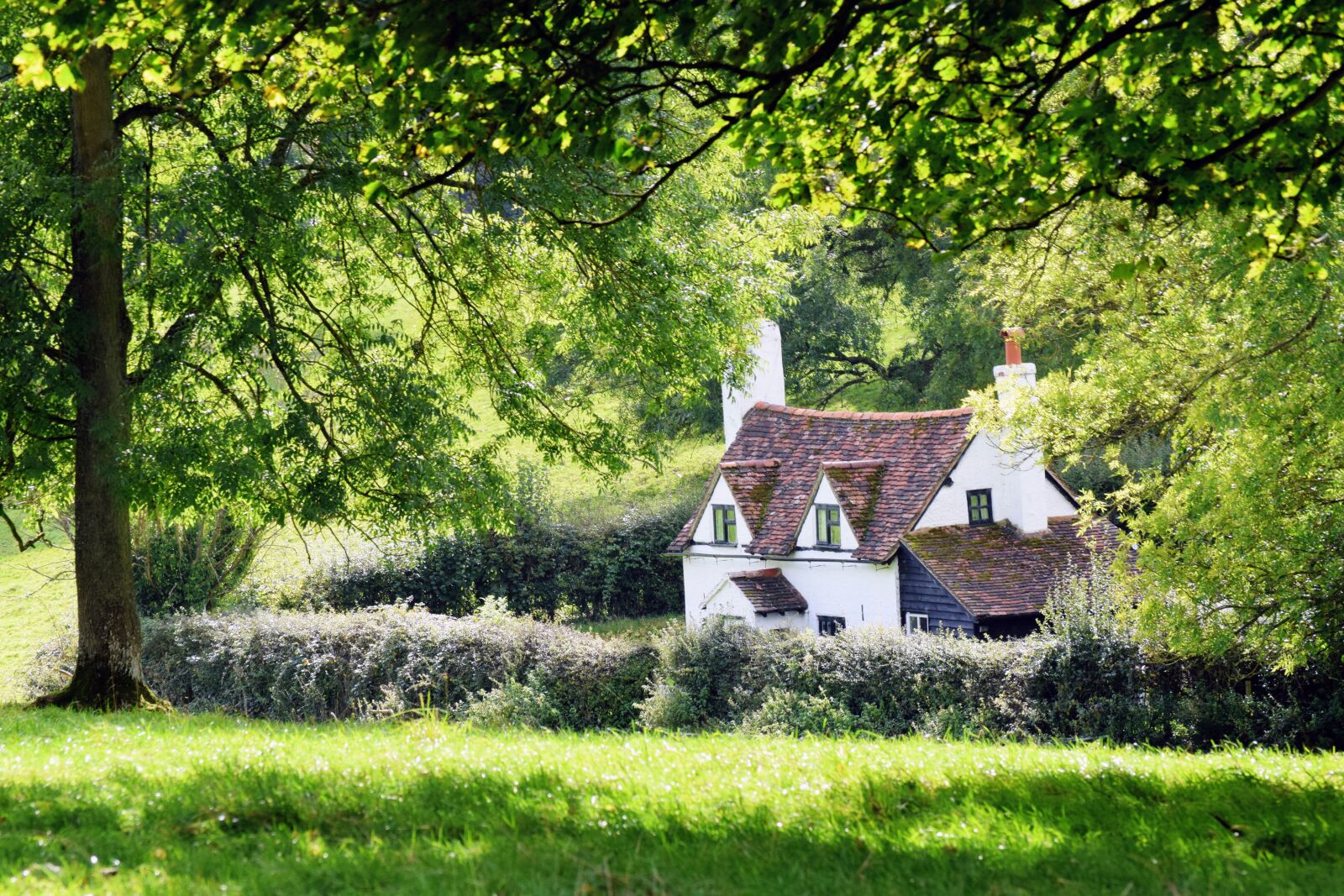 Nikon D5300 sample photo. Countryside, cottage, england photography