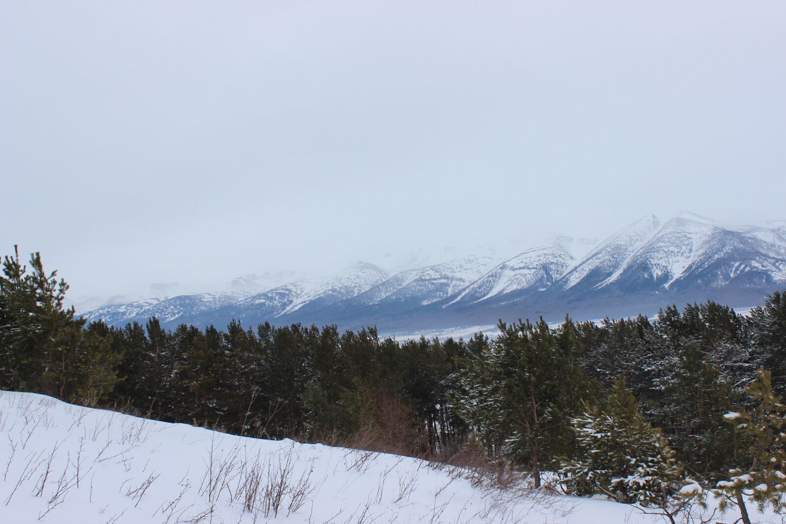 Canon EOS 600D (Rebel EOS T3i / EOS Kiss X5) sample photo. Kazakhstan, ridder, winter photography