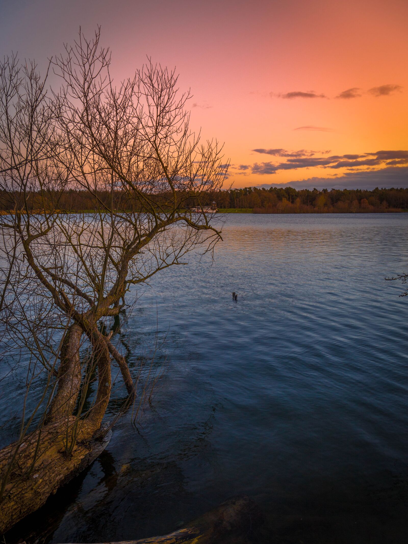 Canon EF 24-105mm F3.5-5.6 IS STM sample photo. Sunset, sunrise, freedom photography