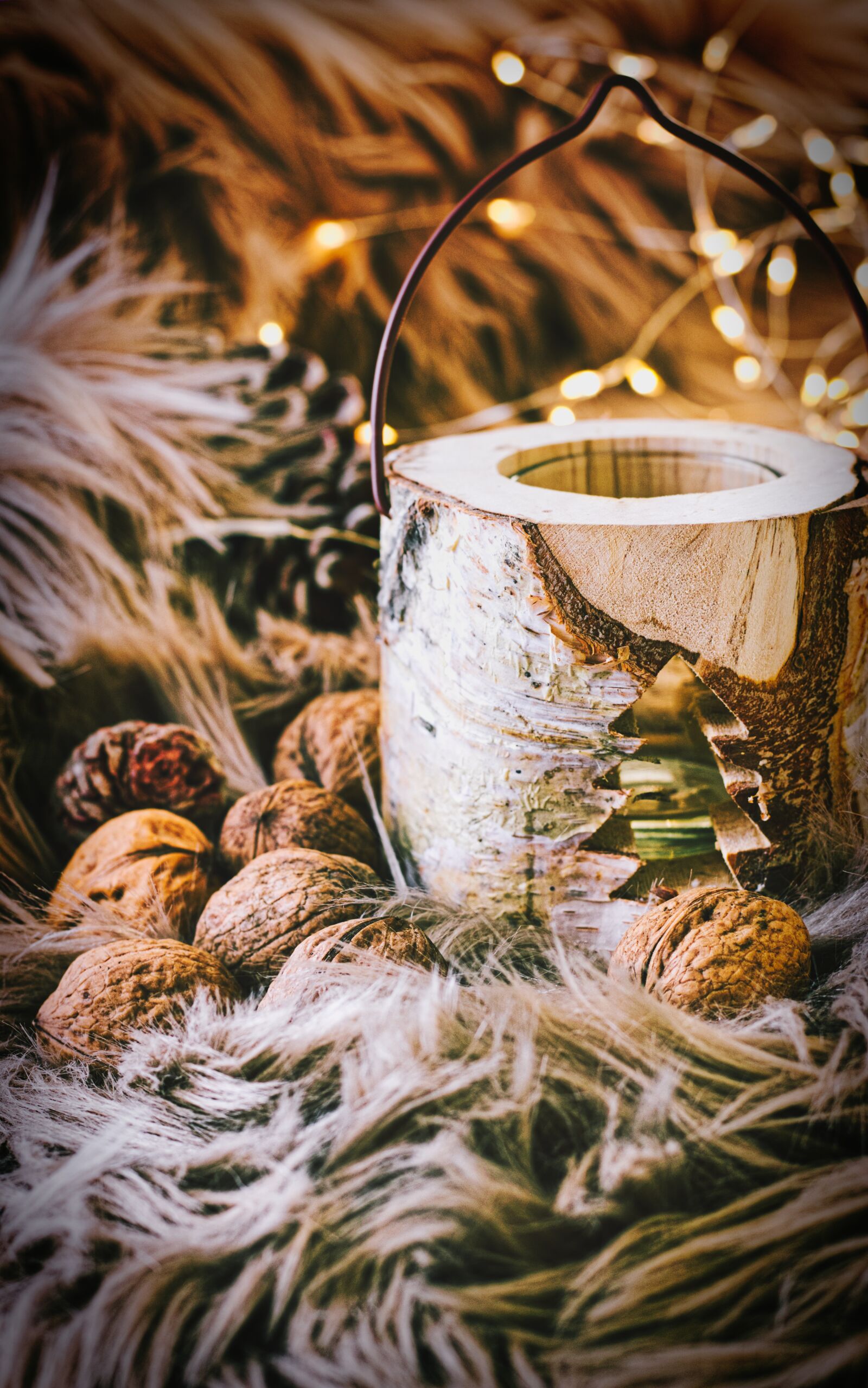 Canon EOS 200D (EOS Rebel SL2 / EOS Kiss X9) + Canon EF 50mm F1.8 STM sample photo. Fur, lights, pine cones photography