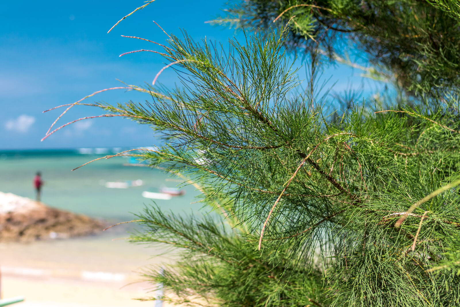 Tamron SP 35mm F1.8 Di VC USD sample photo. Background, bali, beach, beautiful photography