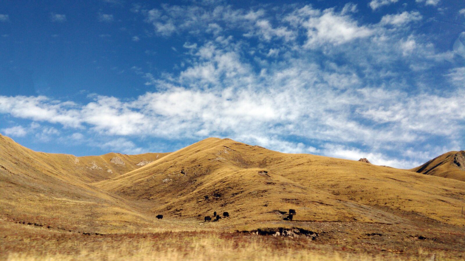 ASUS X013D sample photo. Tibet, different culture, tibetan photography