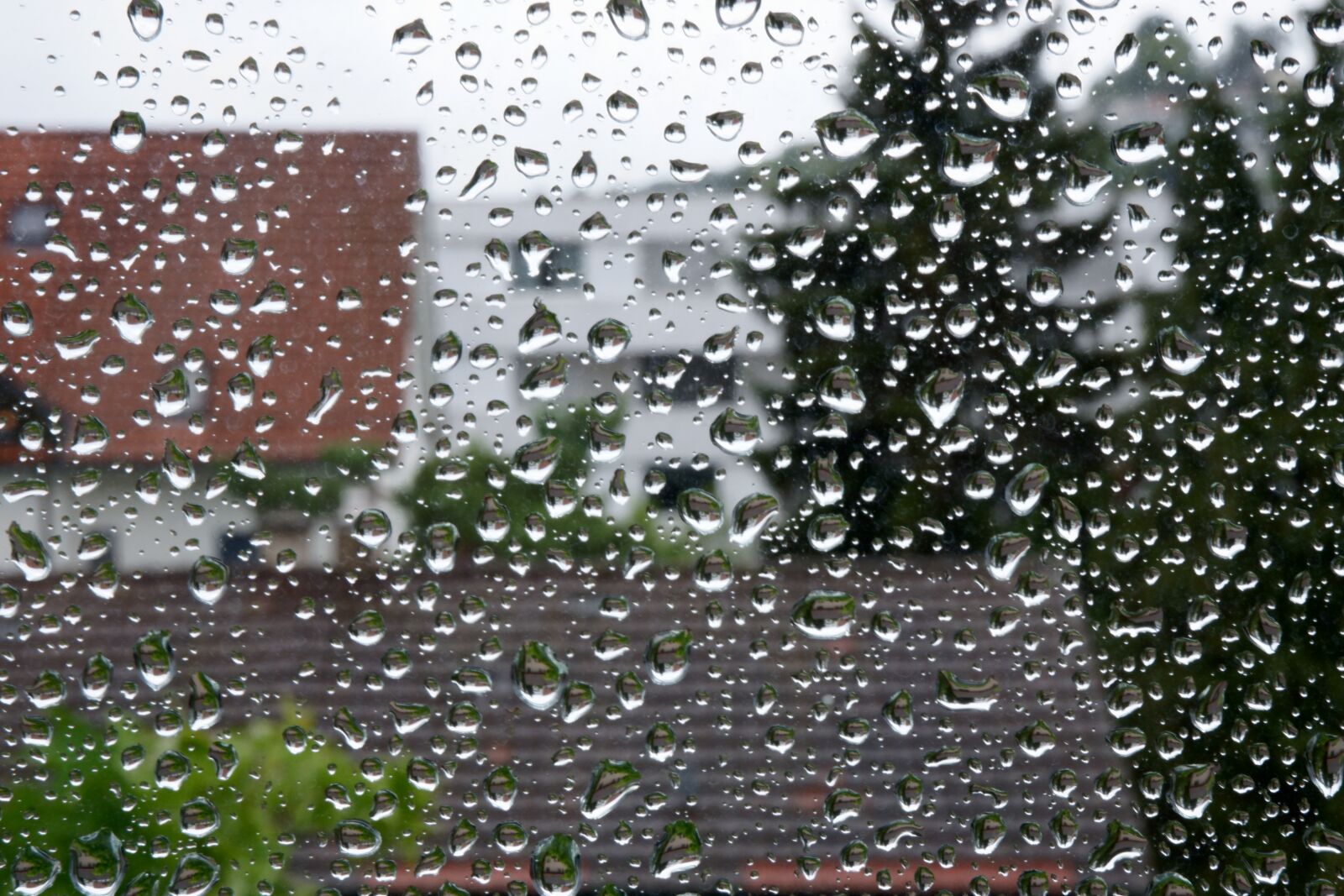 Fujifilm XC 15-45mm F3.5-5.6 OIS PZ sample photo. Rain, window, water photography