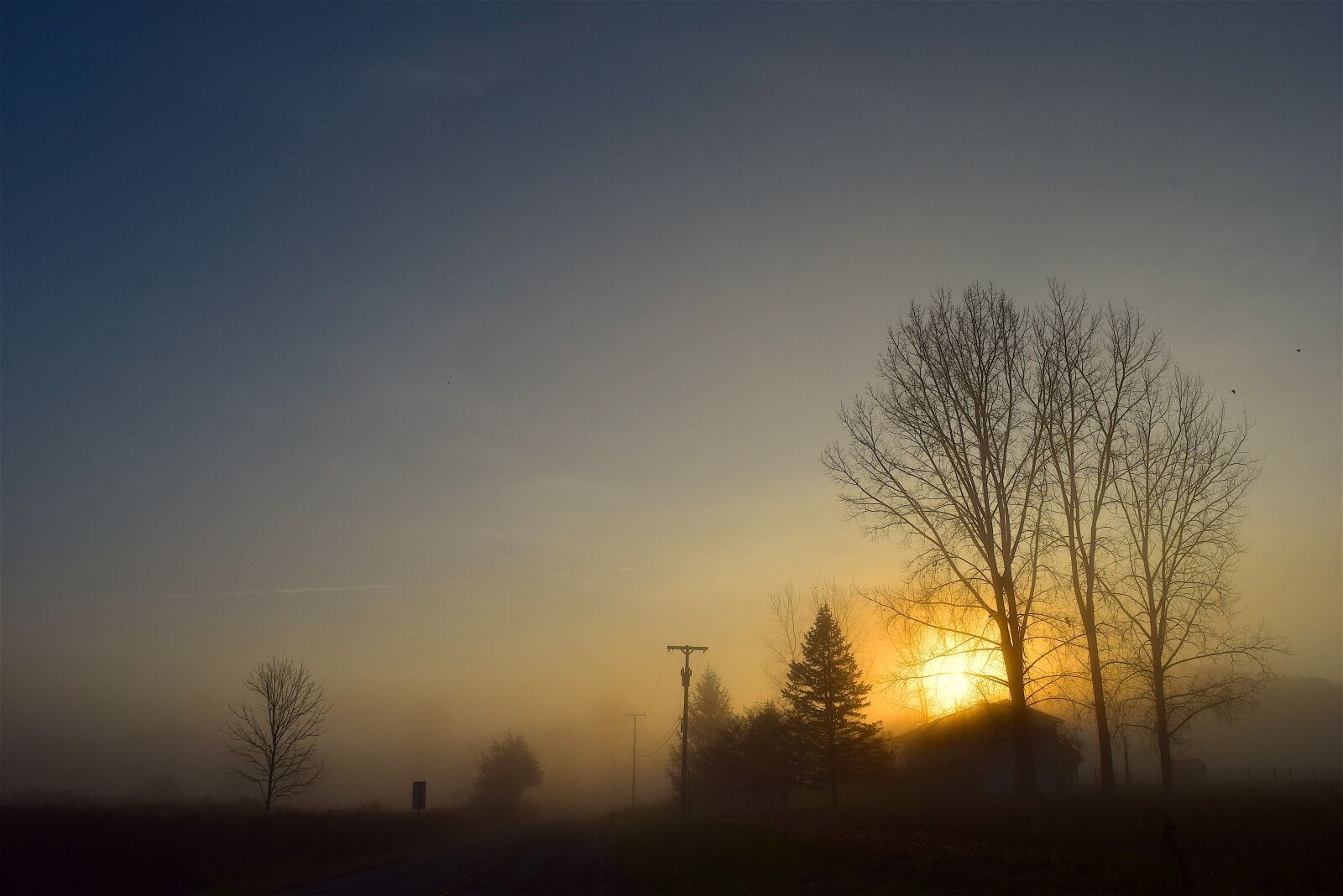 Nikon D3300 sample photo. Sunrise, fog, trees photography