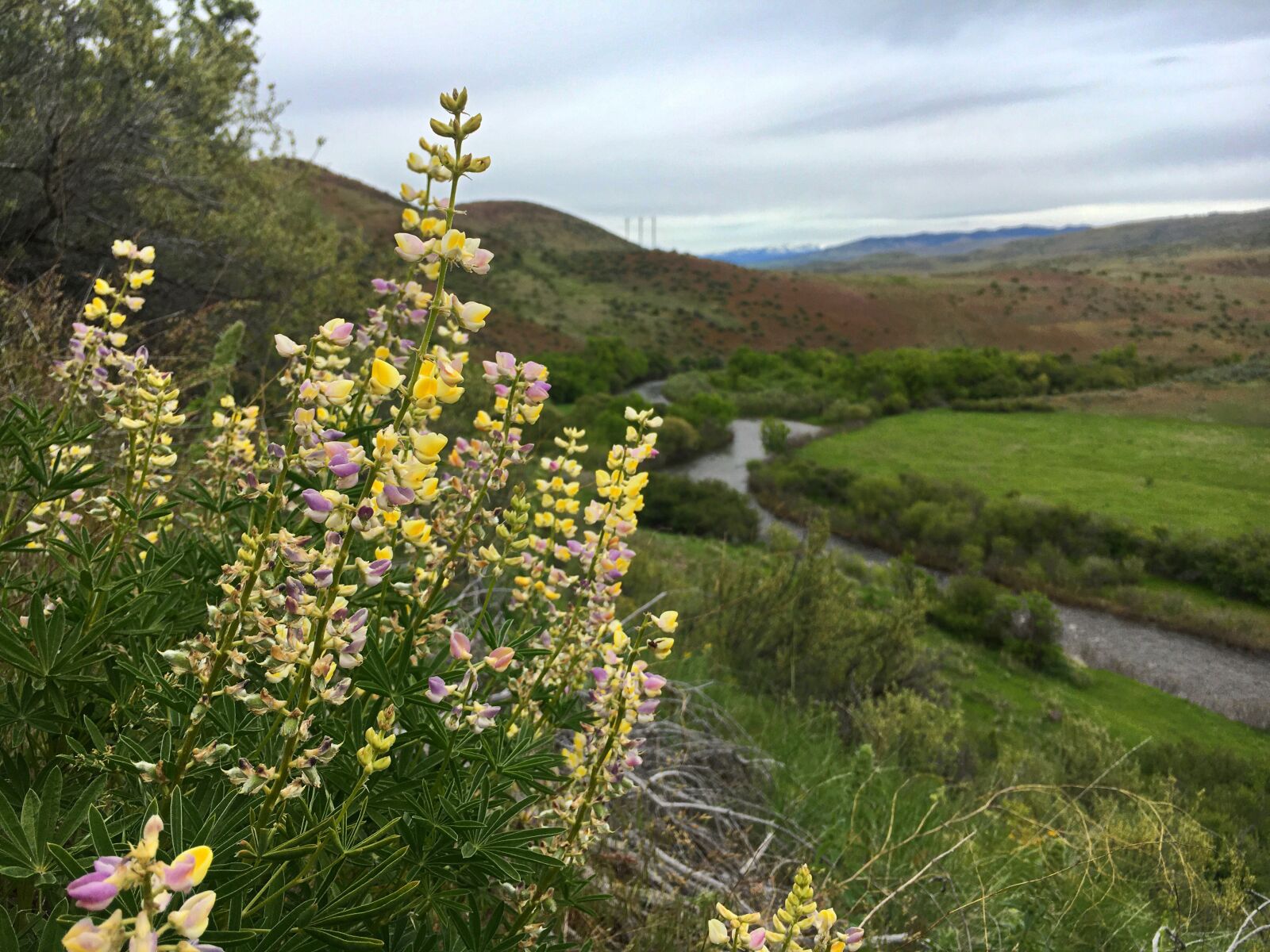Apple iPhone 6s sample photo. Idaho, mountains, landscape photography