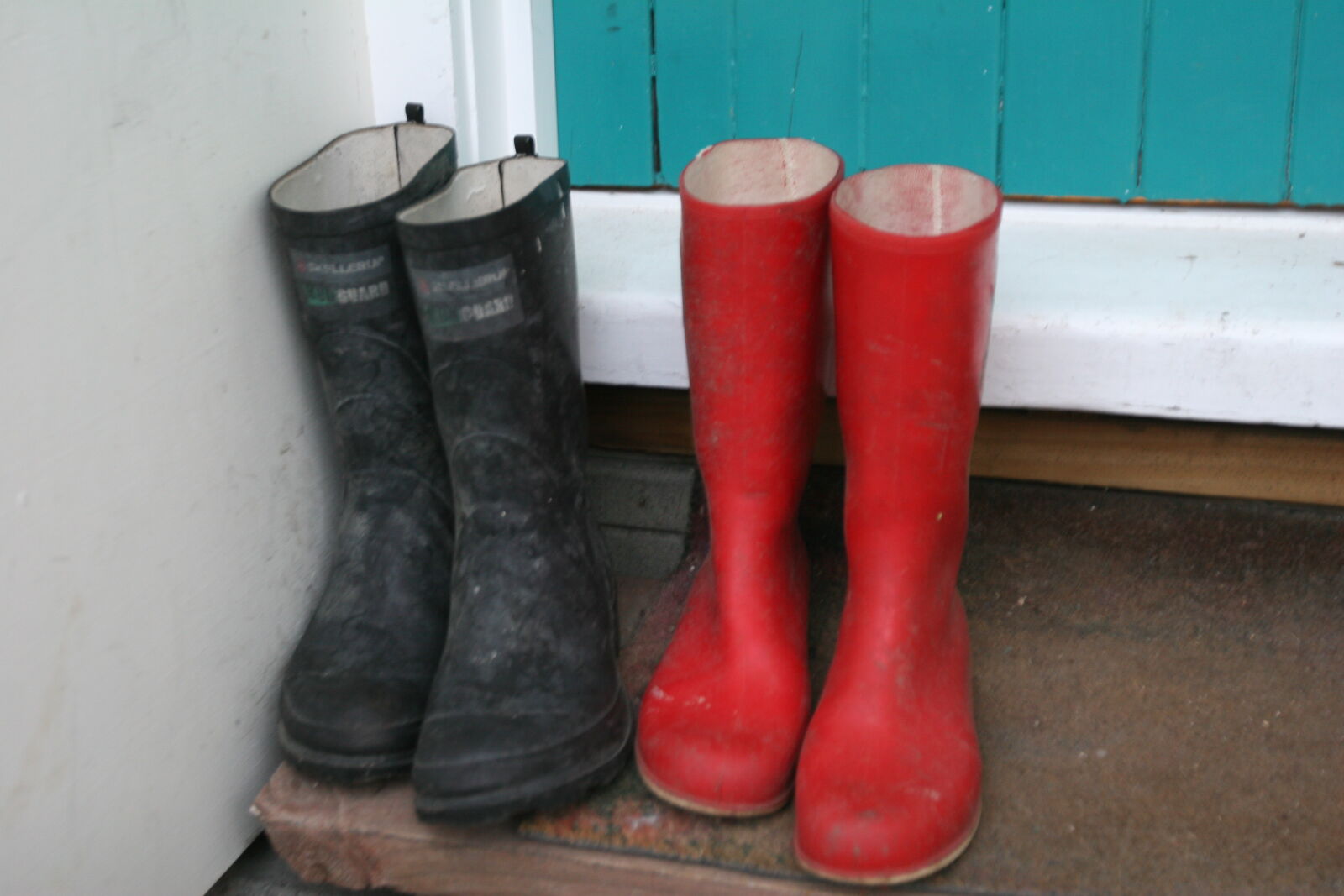 Canon EOS 20D sample photo. Black, door, door, mat photography