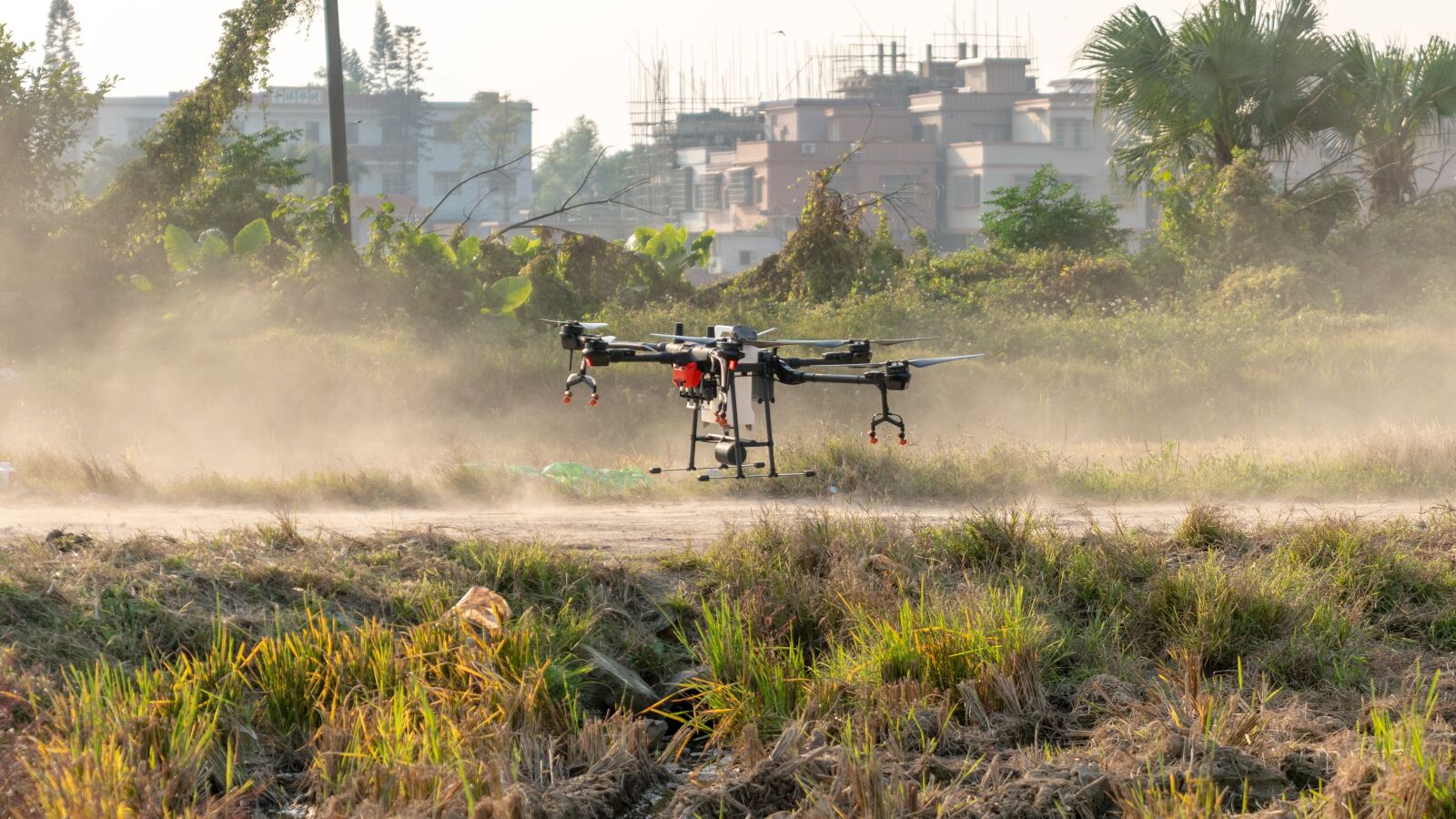 Sony FE 24-70mm F2.8 GM sample photo. Dji, uav, plant protection photography