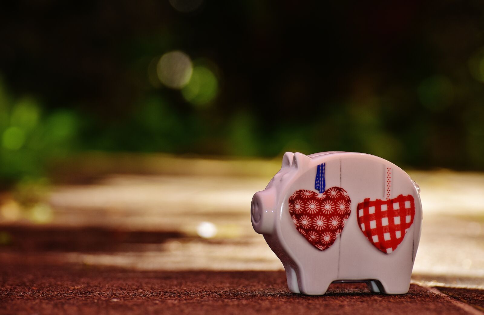 Nikon D7200 sample photo. Piggy bank, heart, love photography