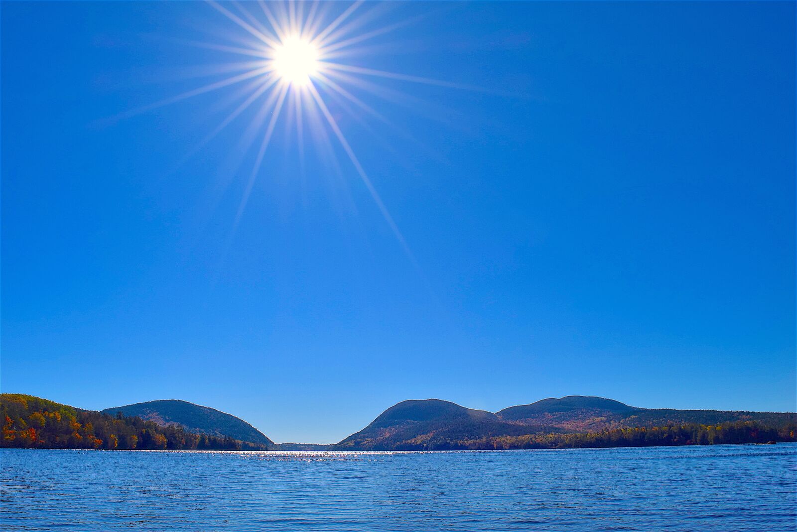 Nikon D3300 sample photo. Lake, trees, sun photography