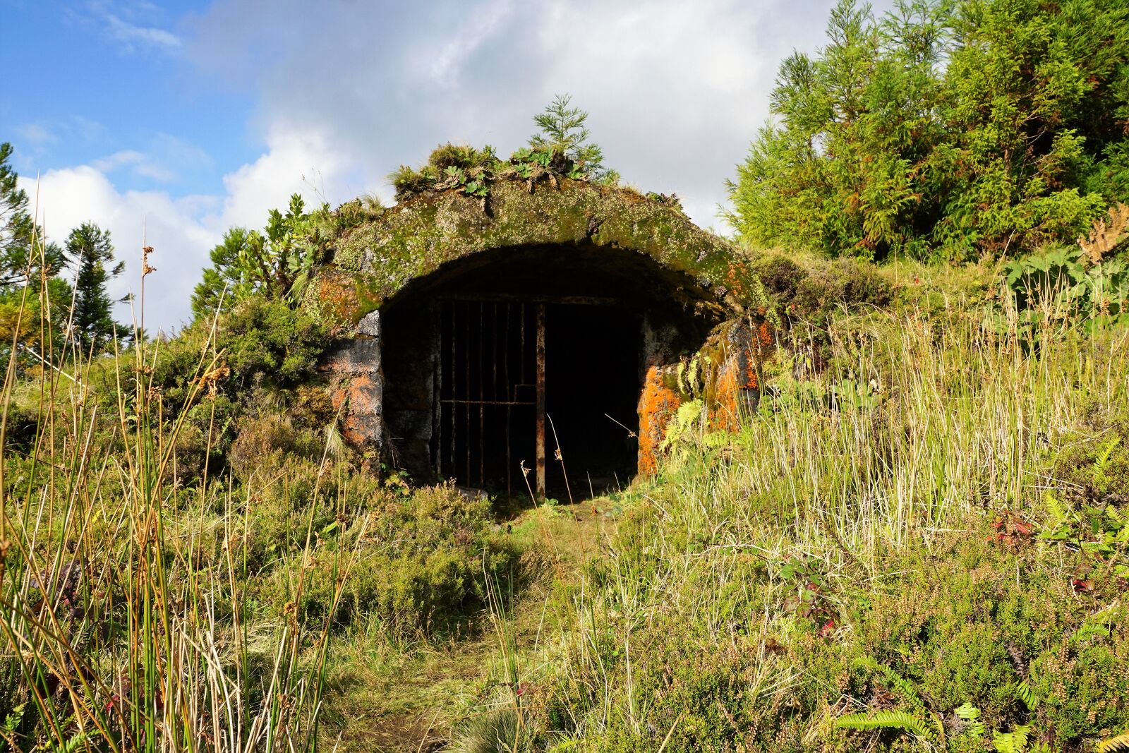 Sony ILCA-77M2 + Sony DT 16-50mm F2.8 SSM sample photo. Portugal, azores, island photography
