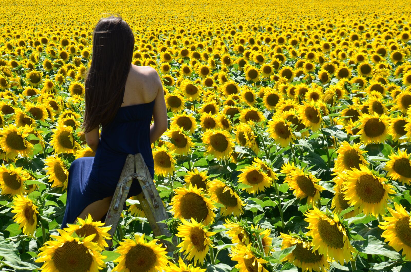 Nikon D5100 sample photo. Sunflower, sunshine, young lady photography