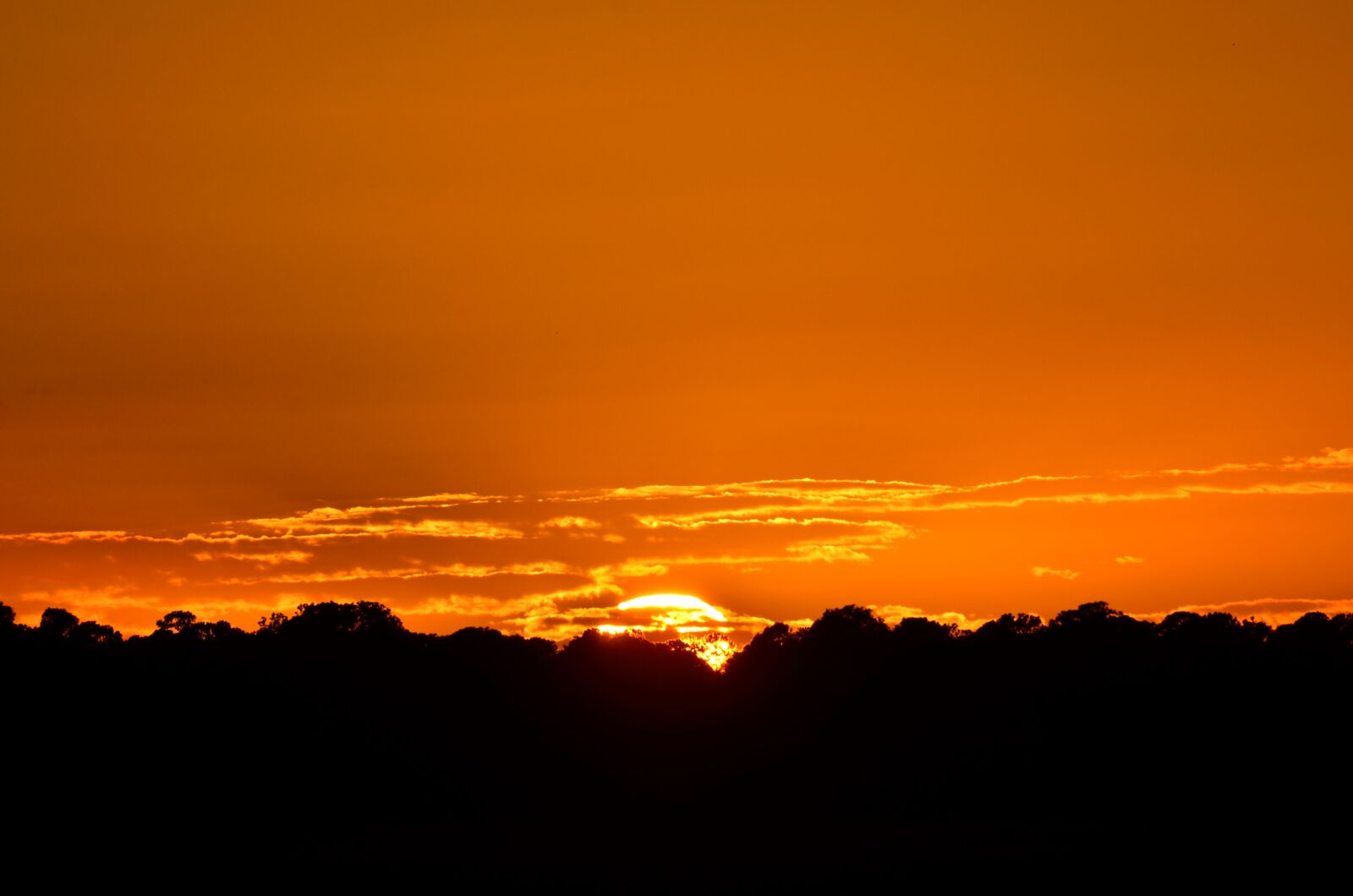 Nikon D7000 sample photo. Sunset, dawn, night photography