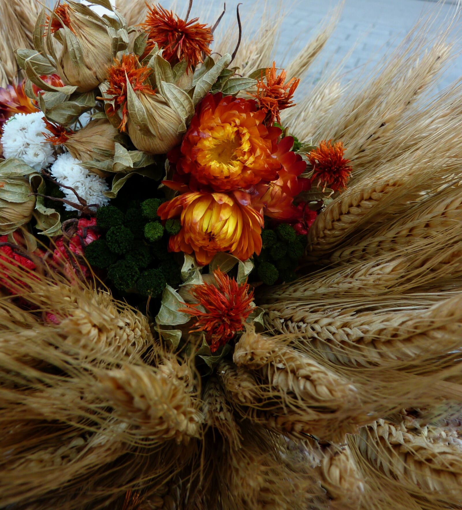 Panasonic DMC-TZ7 sample photo. Thanksgiving, pumpkins, vegetables photography