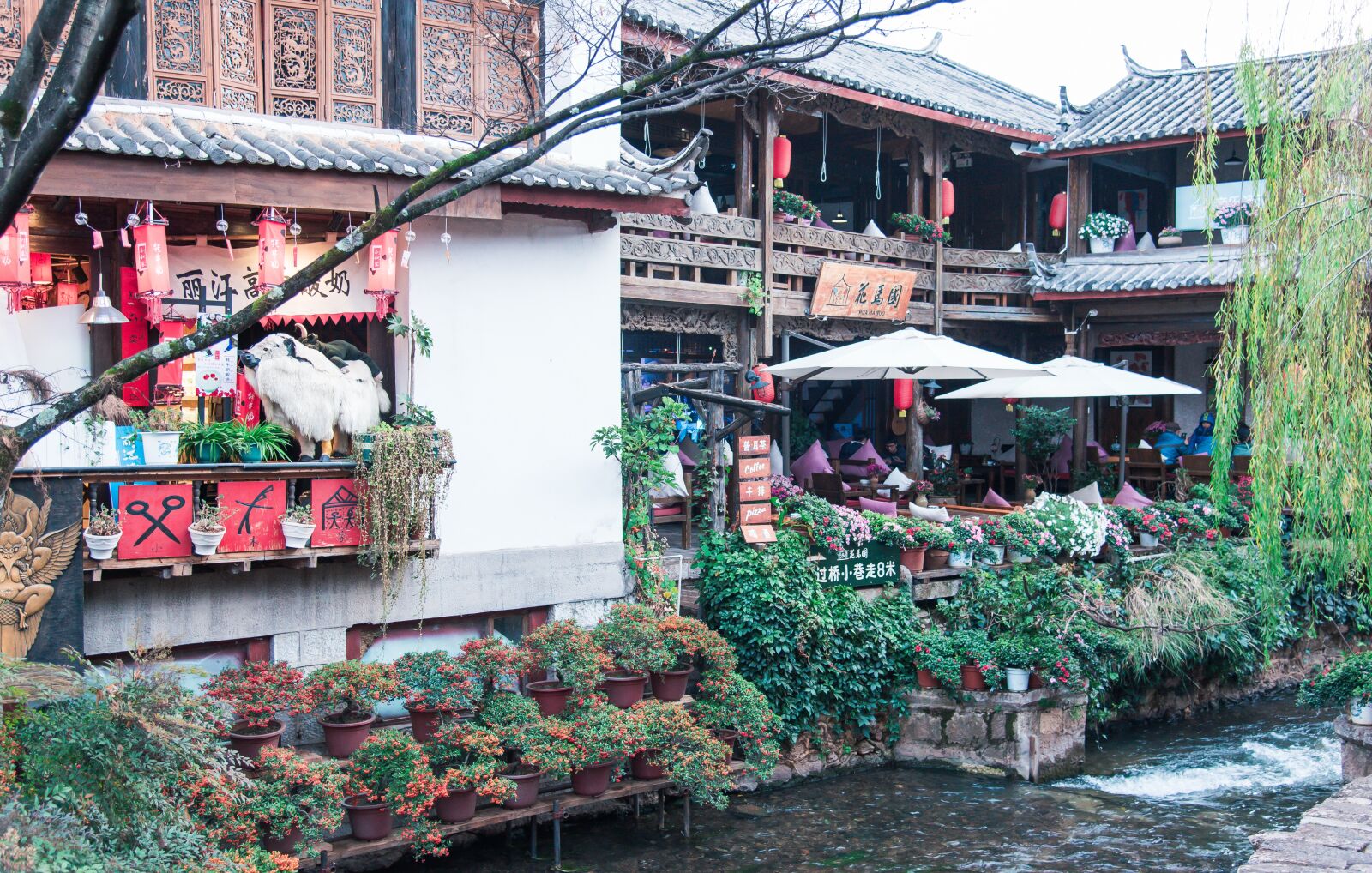 Nikon D750 sample photo. Lijiang, in yunnan province photography