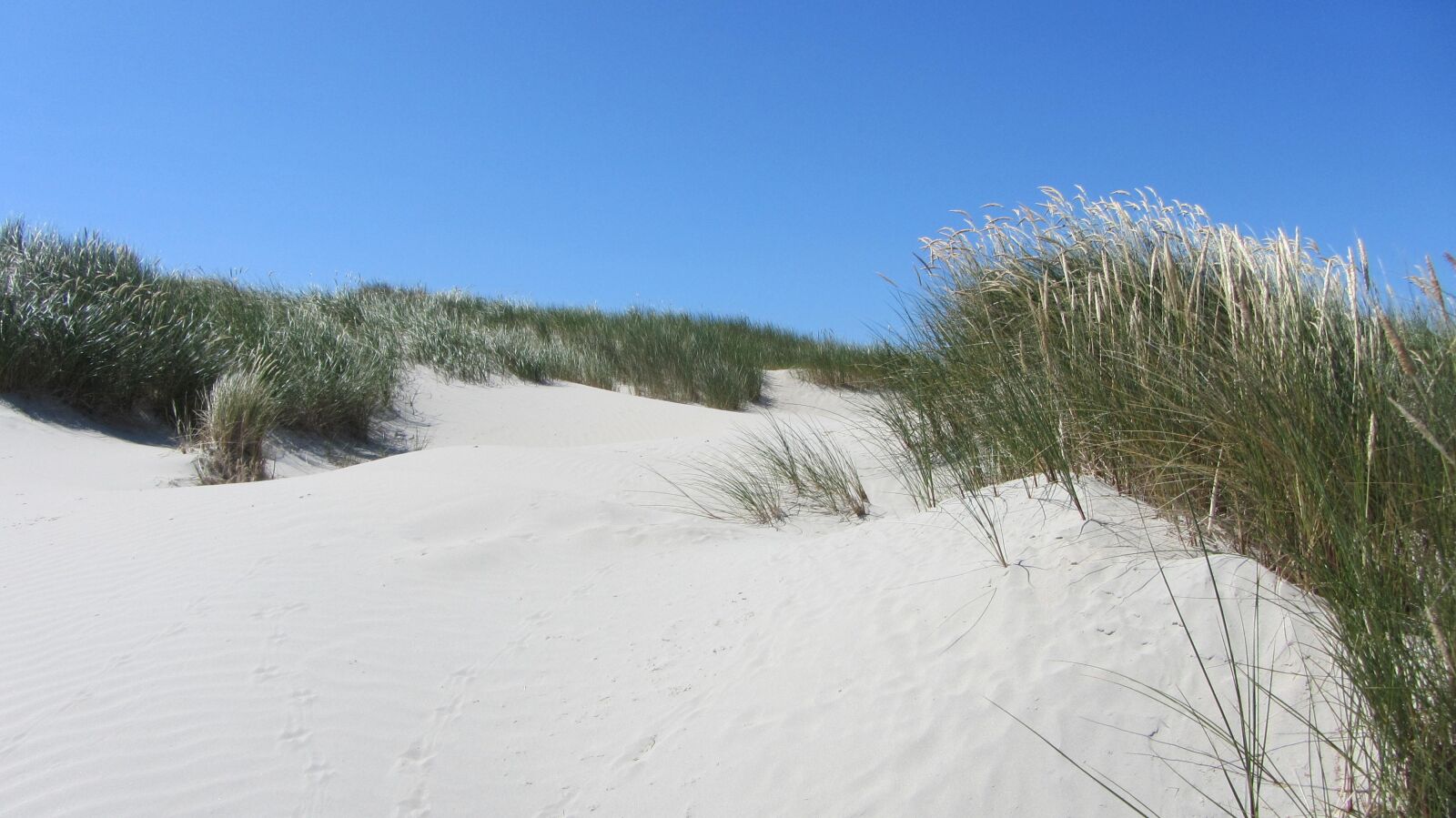 Canon PowerShot SX230 HS sample photo. Beach, dune, north sea photography