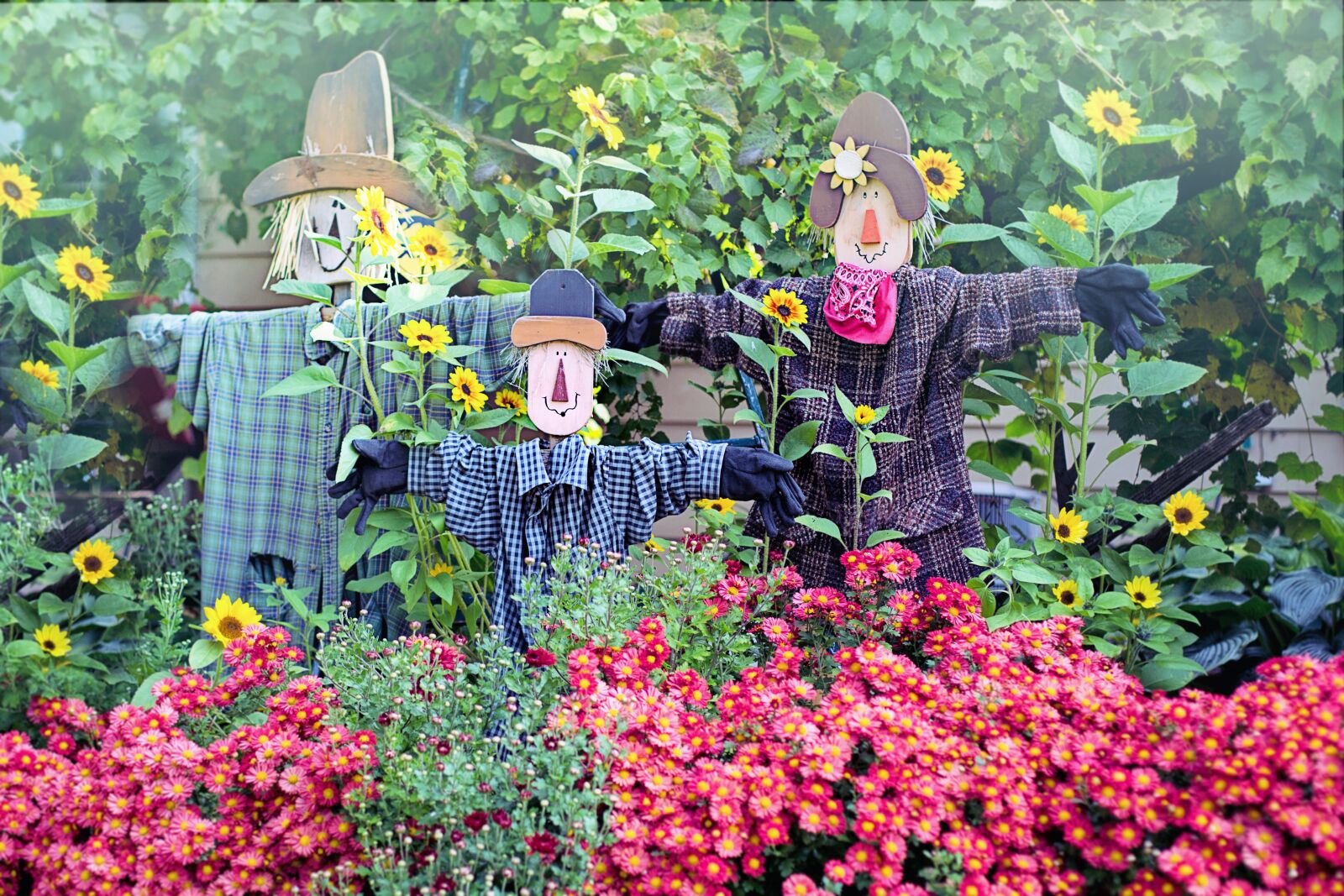 Canon EOS 5D Mark III + Canon EF 50mm F1.4 USM sample photo. Scarecrows, scare crows, fall photography